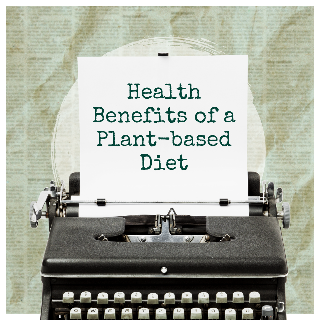 Veganuary at The Gallery Cafe