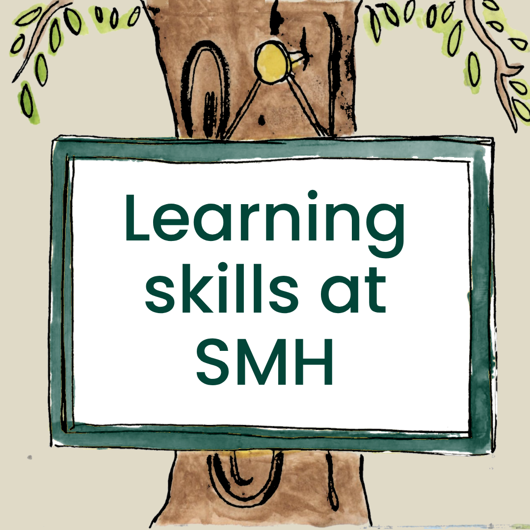 Work Experience at SMH