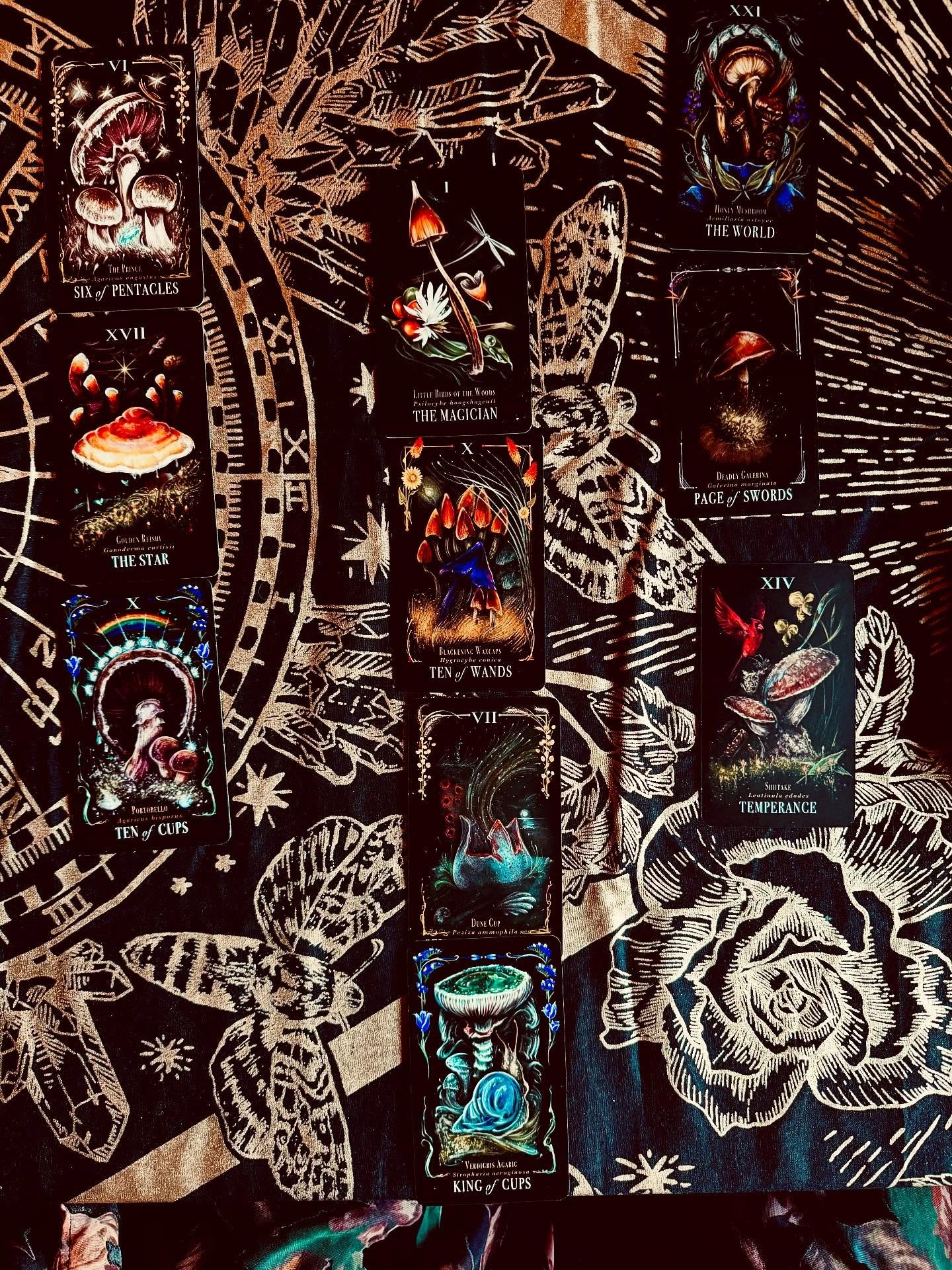 Somewhere in this picture is a reading of the Summer Solstice Spread by @darkexact - 

I would tell you more about the reading, but I am too tired now. 

Night, night Sun. ☀️ 

#summersolstice #itishot #sun #tarot #tarotreading #mushrooms #atarotstor
