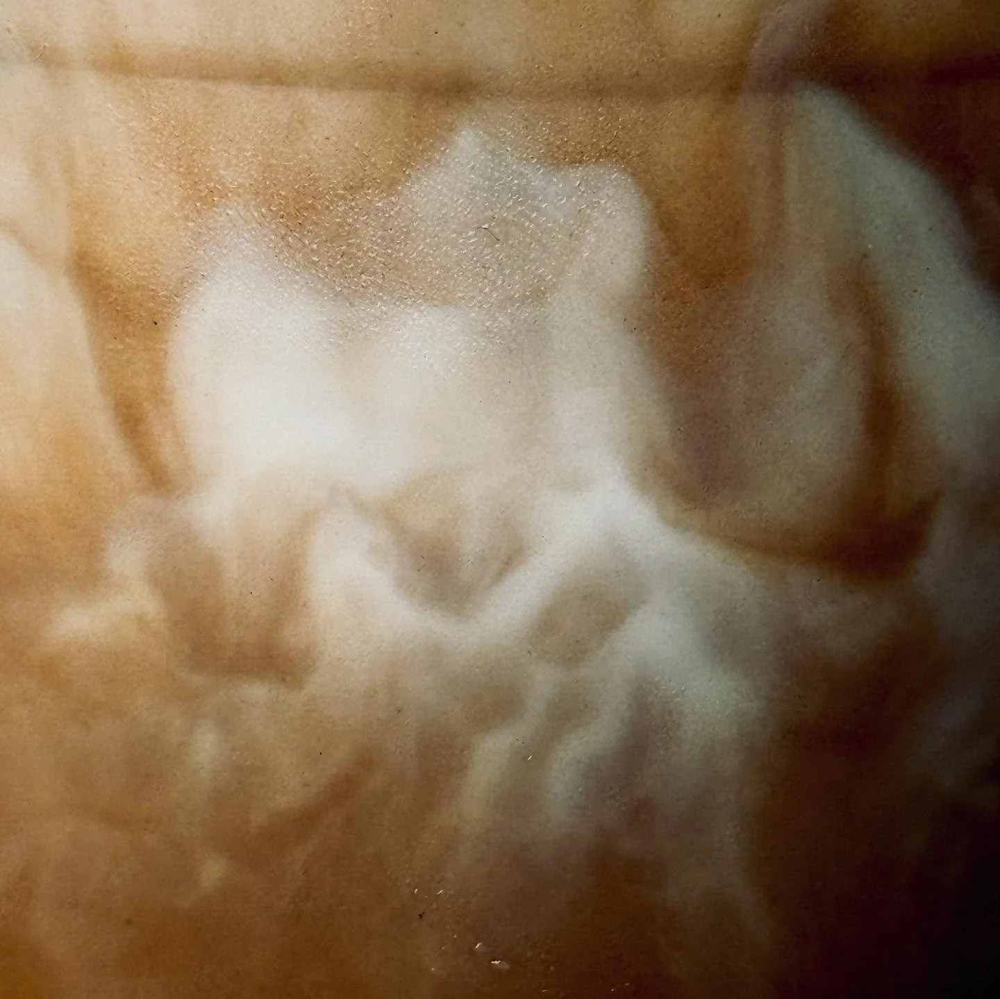 Milk divination in a Mocha: Deep roots will hold you during the highs, the lows, and the plateaus.