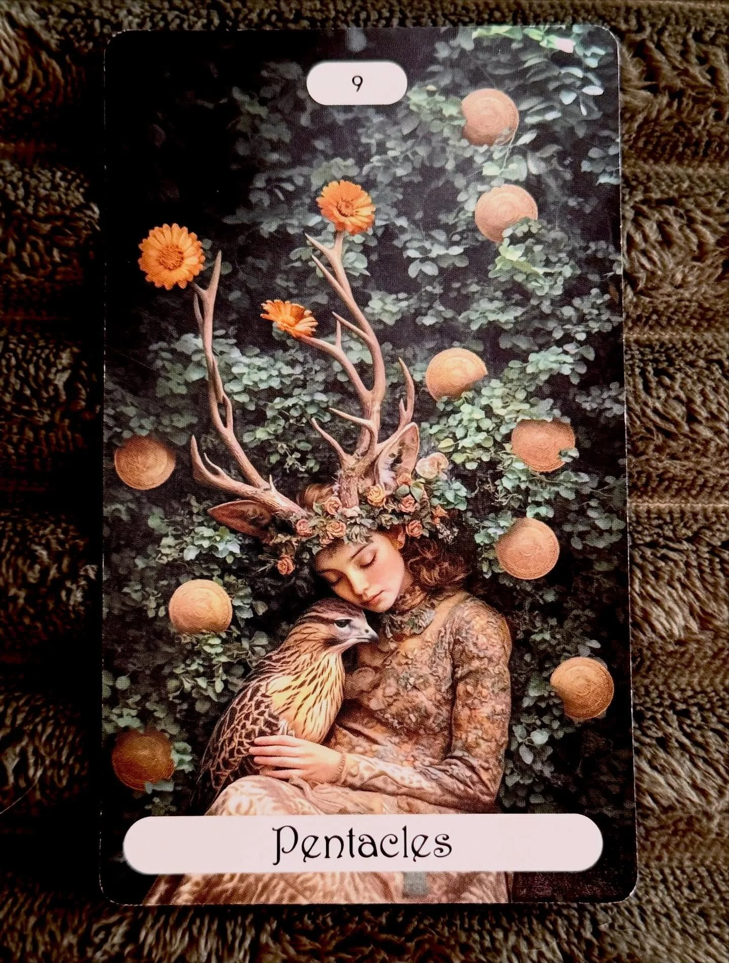 A WEEK OF WHIMS (and 1 plan)

I have the week off from the day job which means I have availability for readings this week I don&rsquo;t normally have (such as weekdays and later in the evenings). A full-time job and middle-high school kids means only