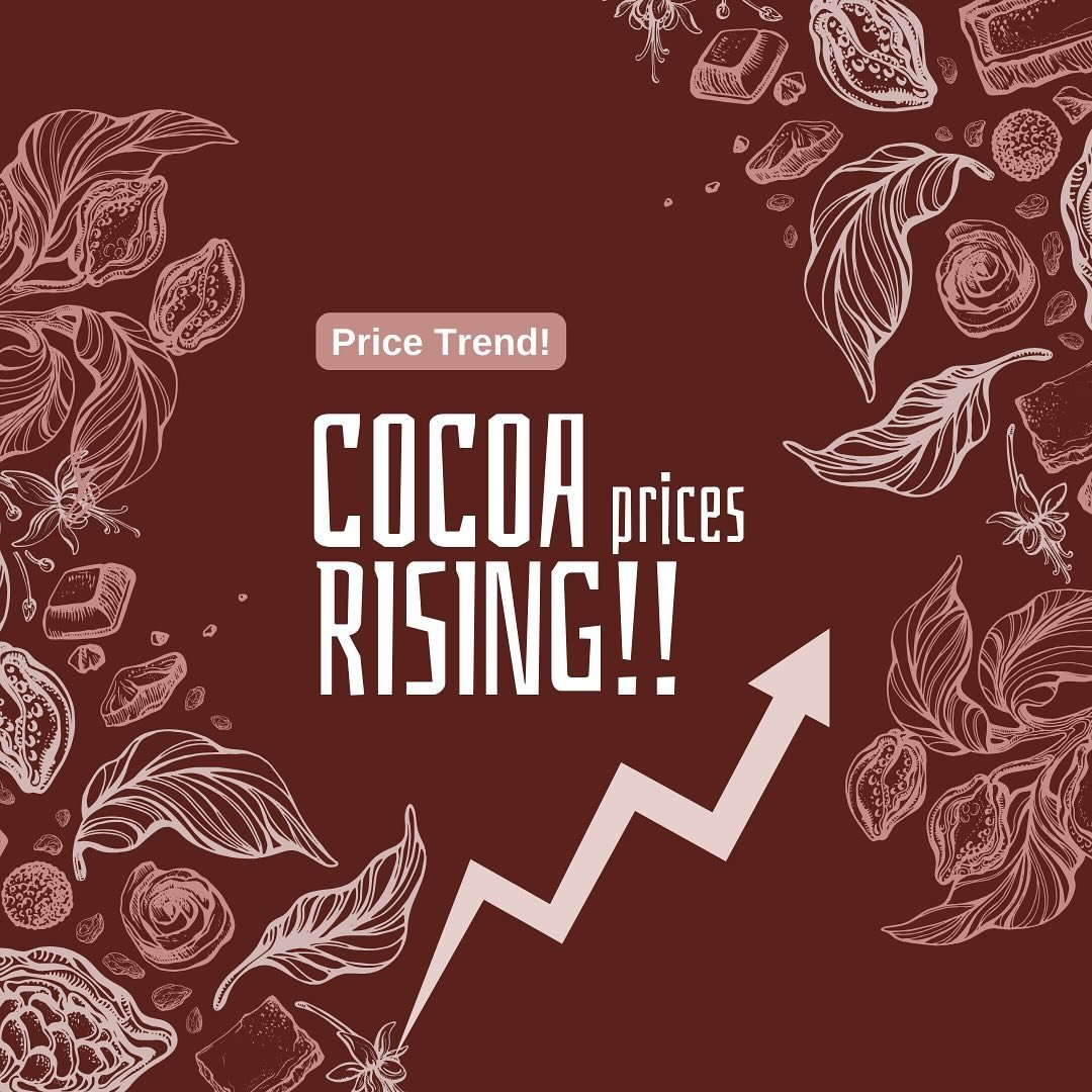 🍫📈 Cocoa prices are skyrocketing, and here&rsquo;s why! 🌍 During the 2022/2023 cocoa season, Ghana and the Ivory Coast, major cocoa producers, faced challenges like heavy rains, flooding, and even illegal activities like smuggling and gold mining.