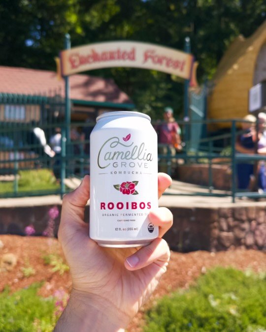 Took our new @camelliagrovekombucha beverages on their first field trip to @enchantdforst 

Highly recommended if you&rsquo;ve never been!