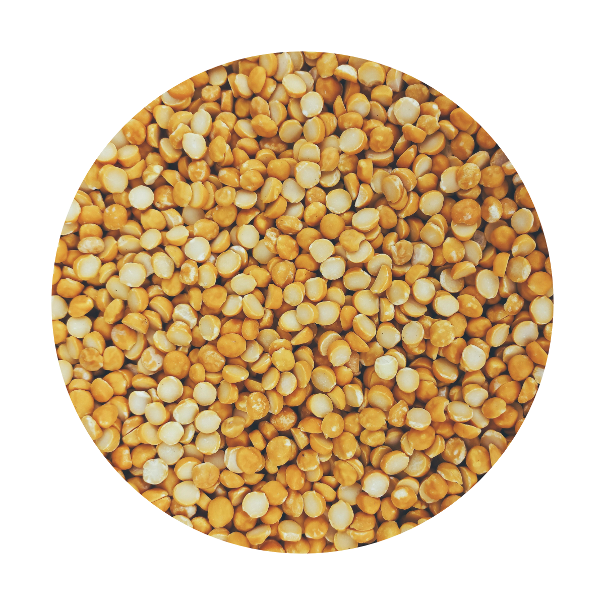 Dried Yellow Split Peas