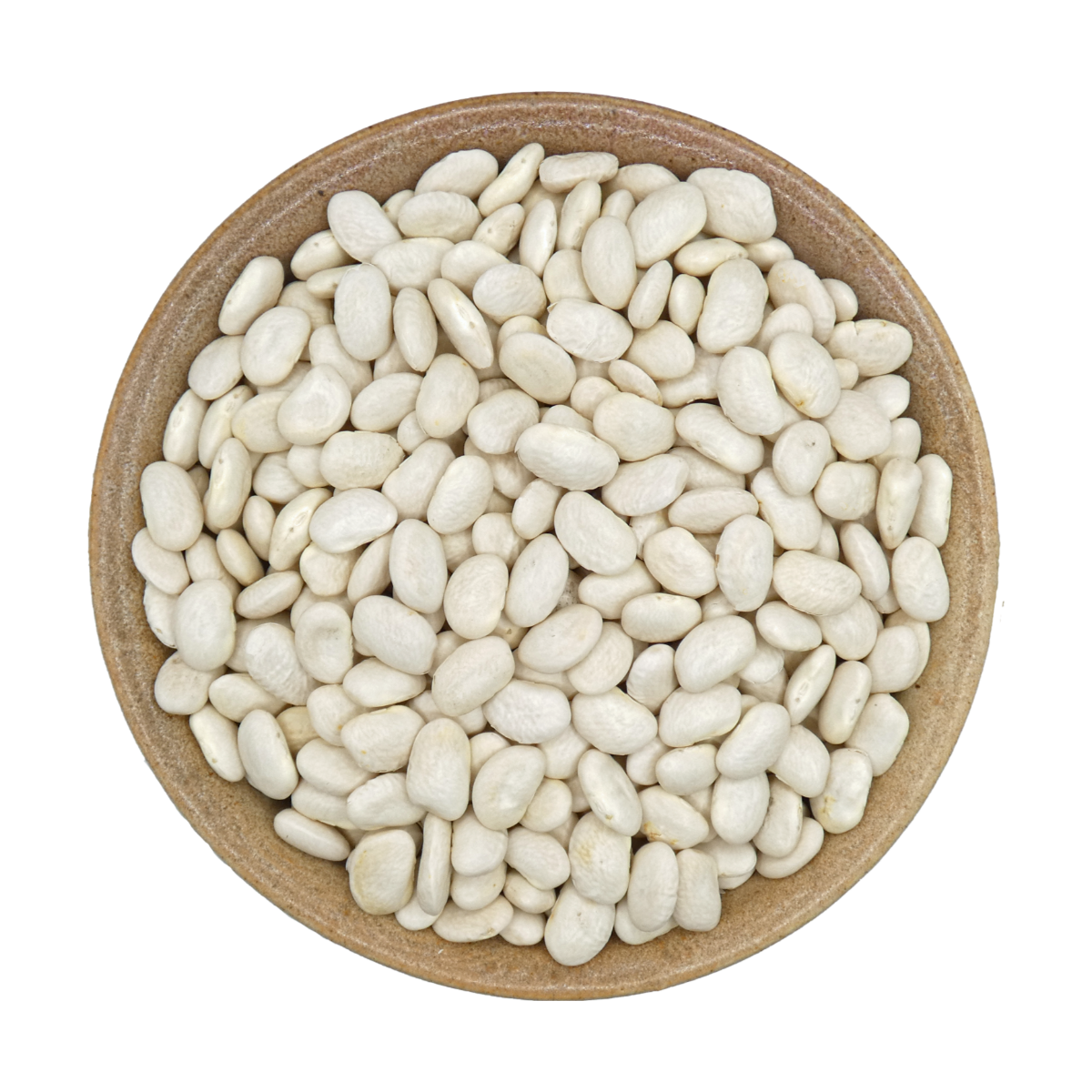 Dried Great Northern Beans