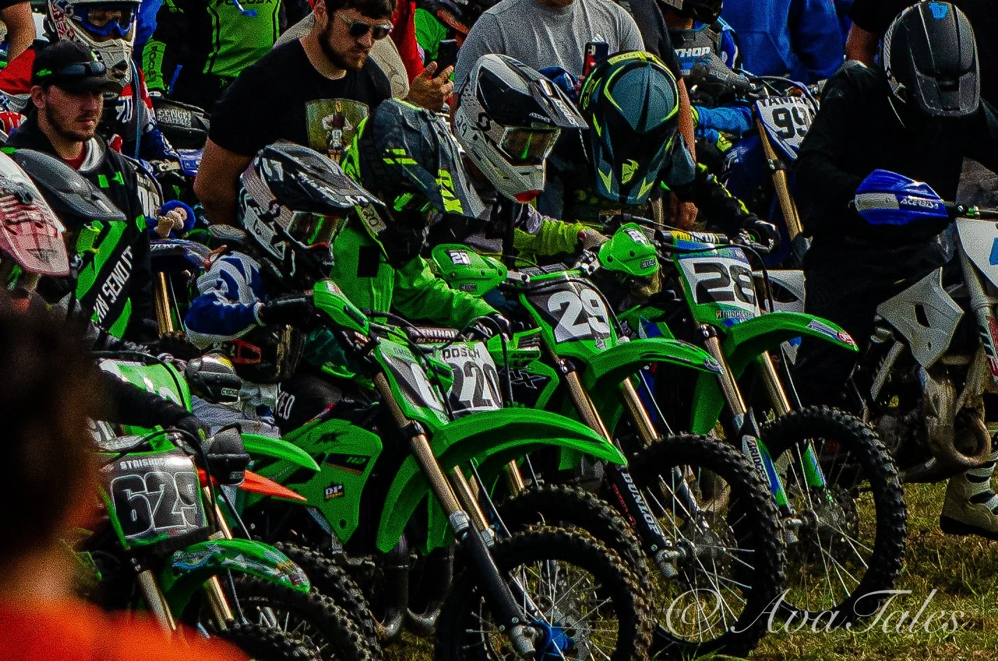 DSC_0027.jpg