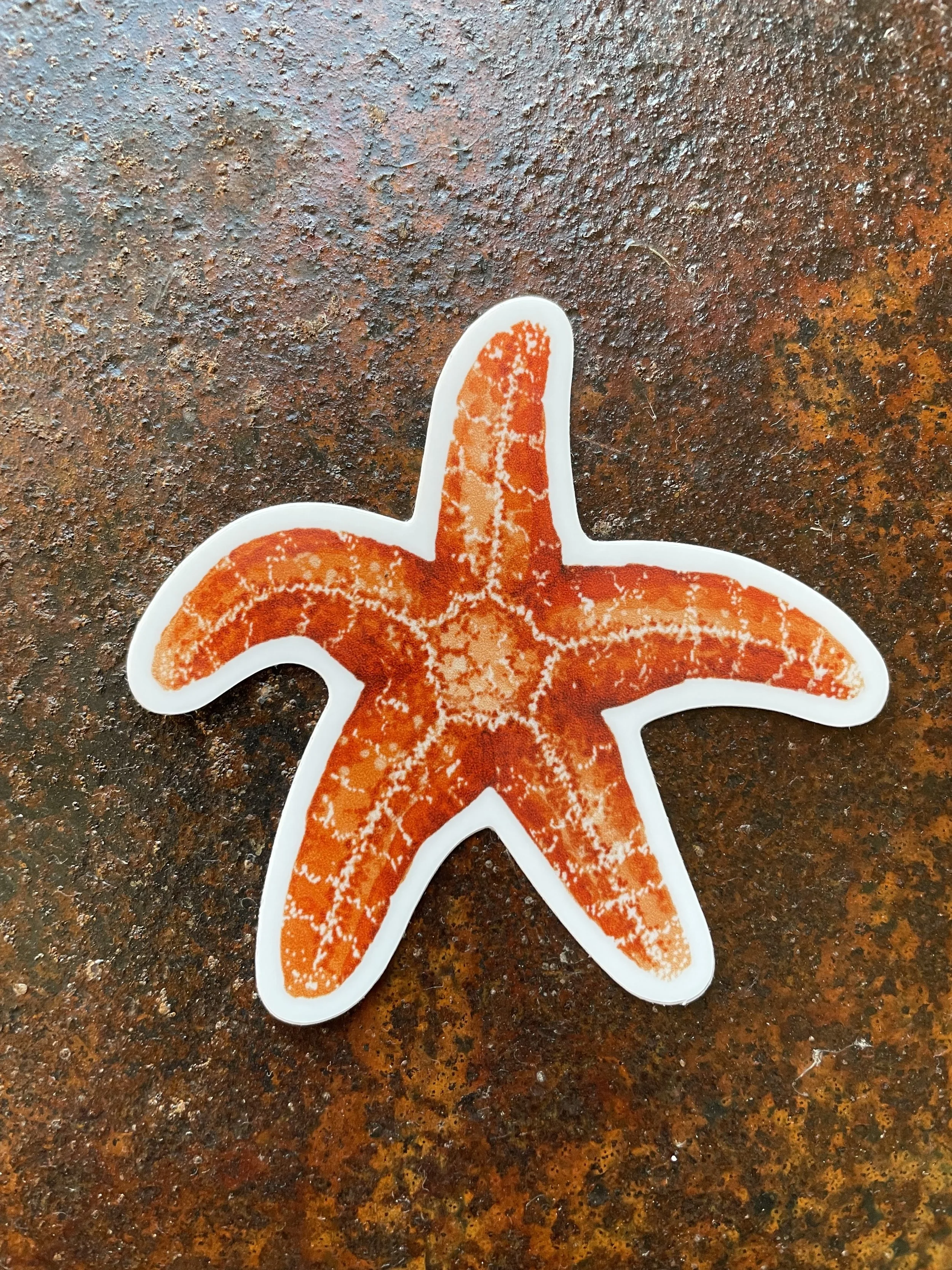 Starfish Stickers