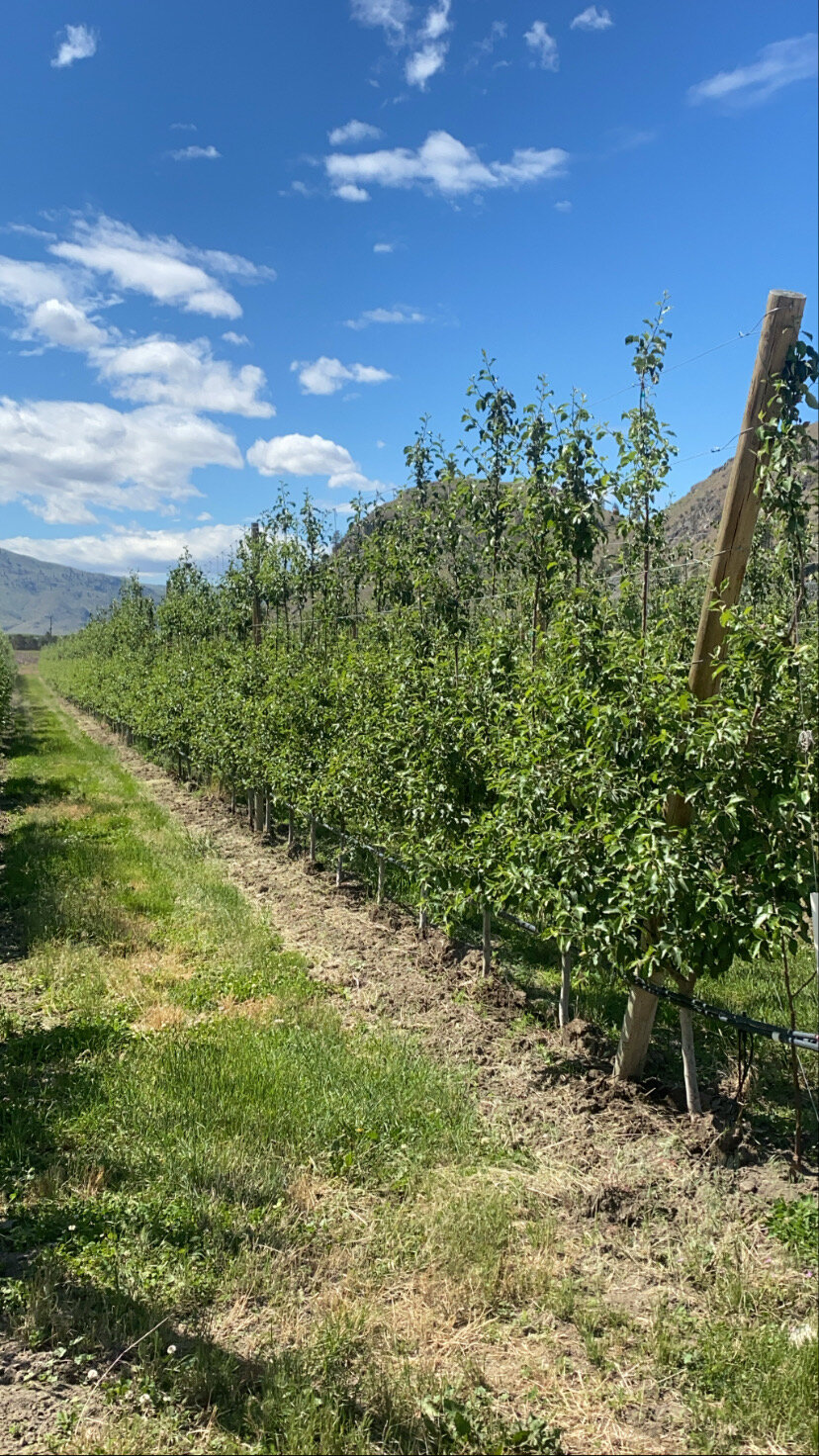 About — Brownfield Orchard, LLC