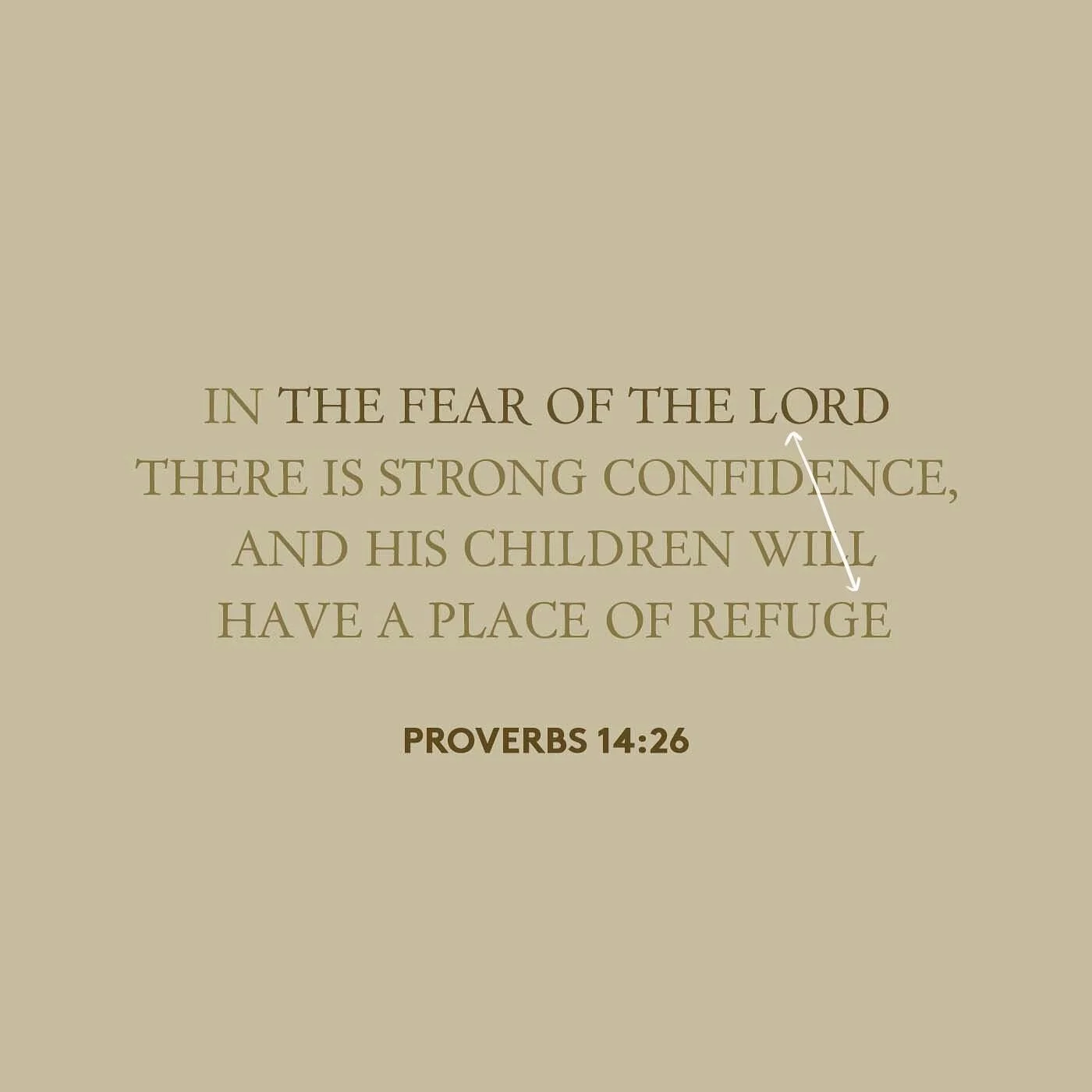 &ldquo;In the fear of the Lord there is strong confidence, And His children will have a place of refuge.&rdquo; &mdash; Proverbs‬ ‭14‬:‭26‬ ‭

#proverbs #bibleverse #scripture #verseoftheday #bible