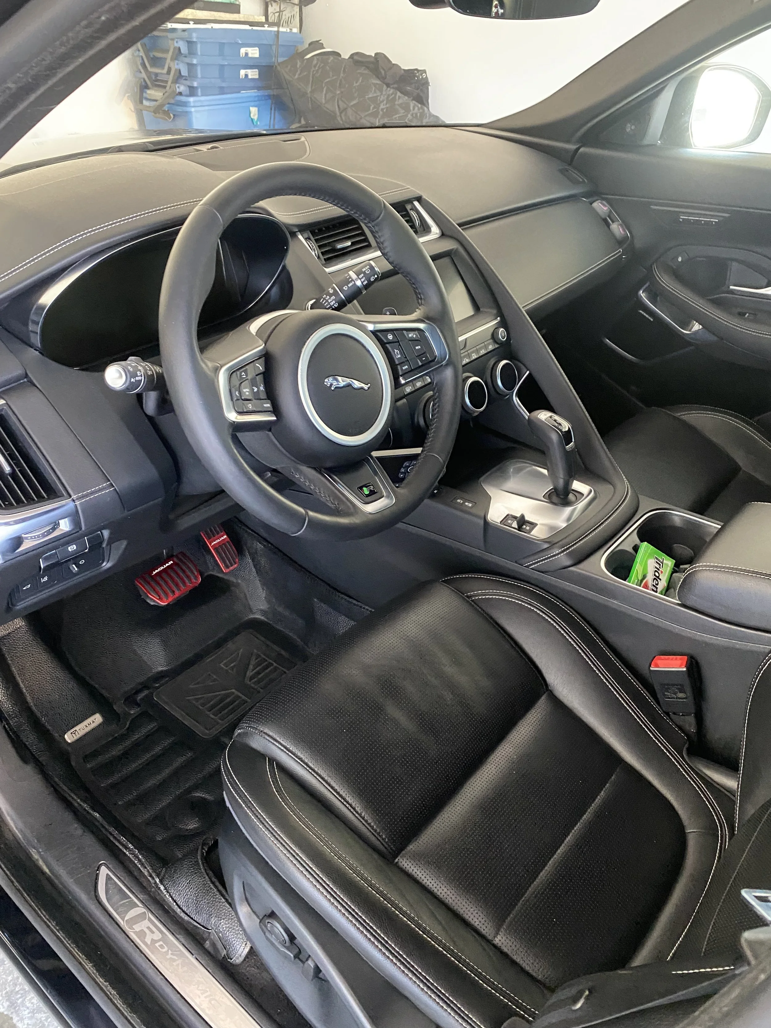 Jaguar Detail