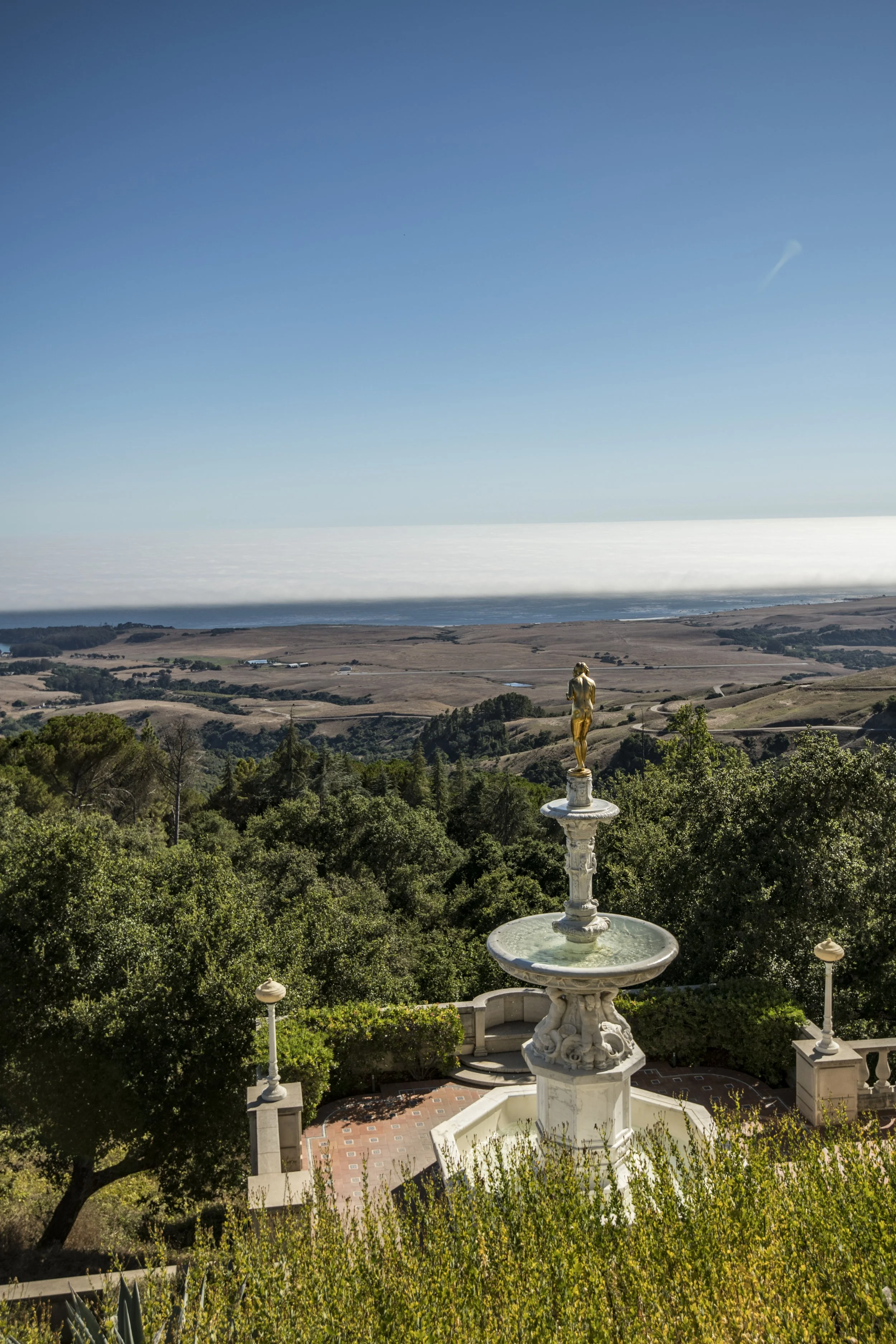 Hearst_Monn-81.jpg