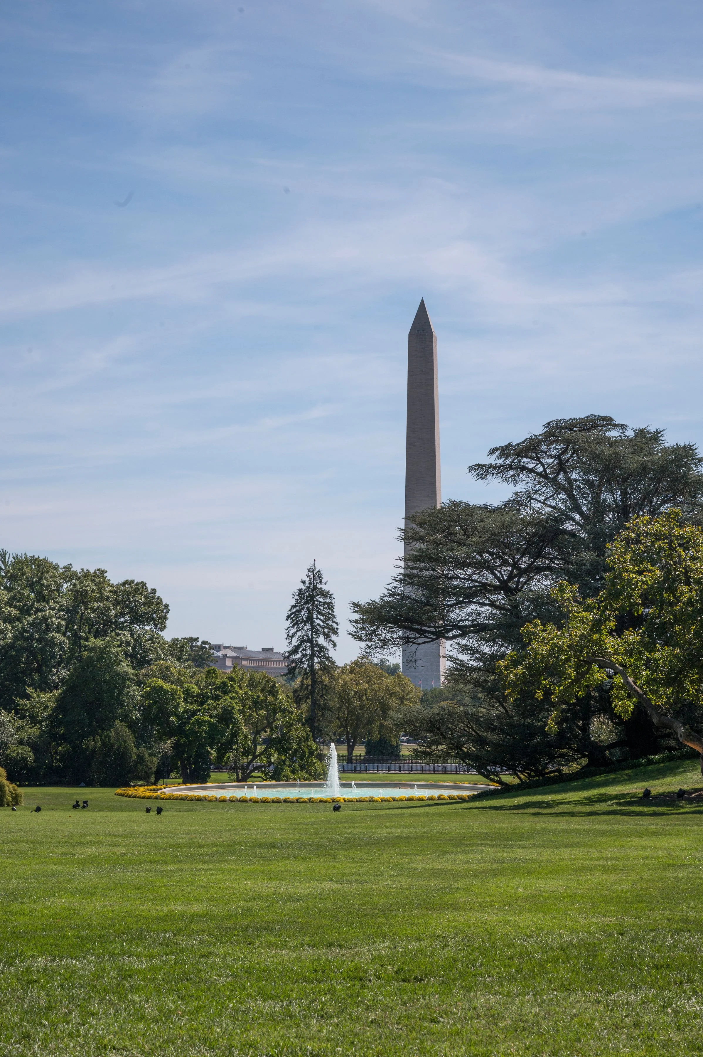 whiteHouse-10.jpg