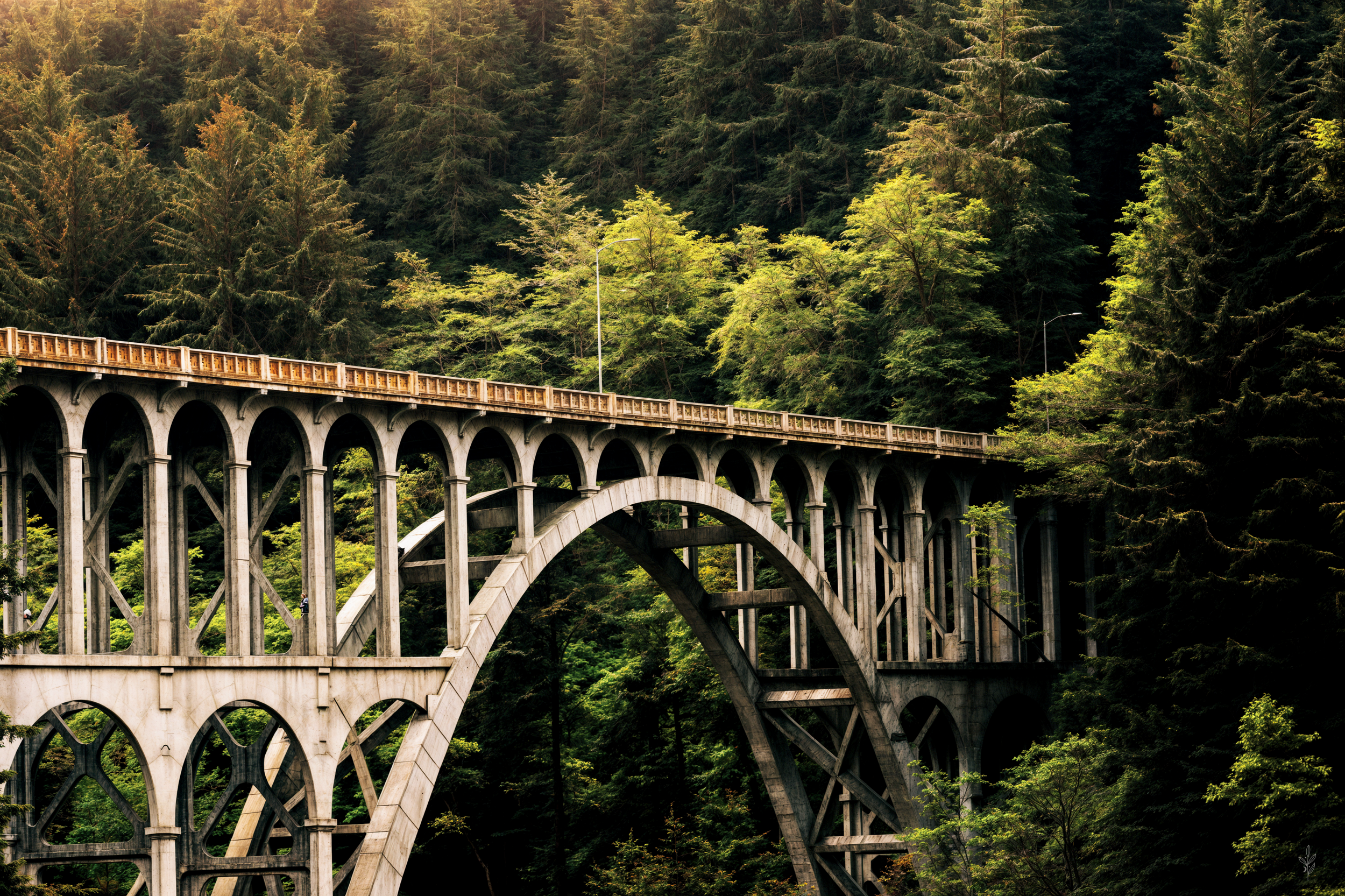 Bridge - Oregon.png