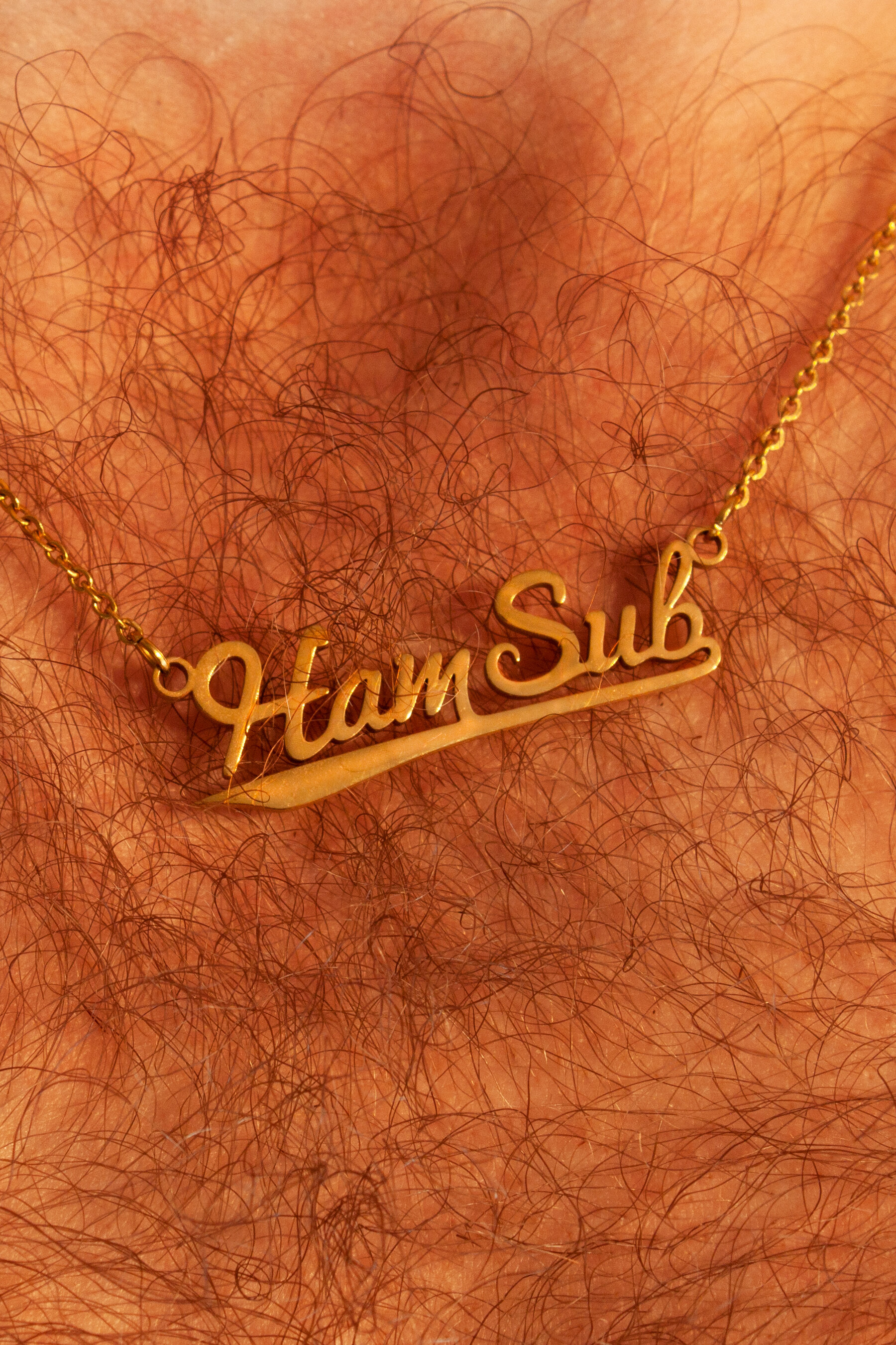 HSC_Promo_Necklace_v1.jpg