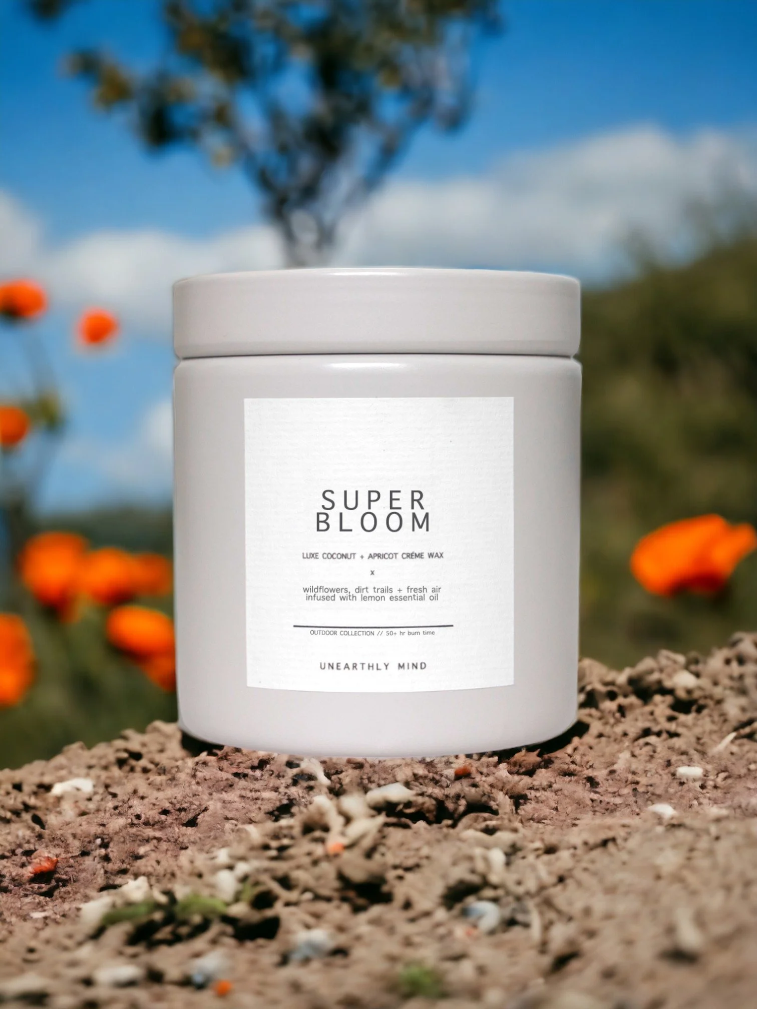 SUPER BLOOM