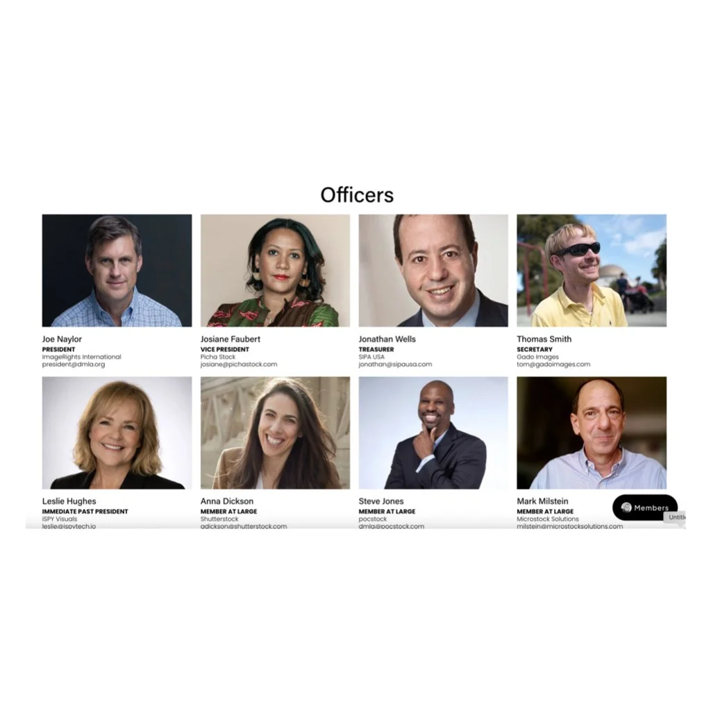 DMLA Board Elections        Call for Nominations