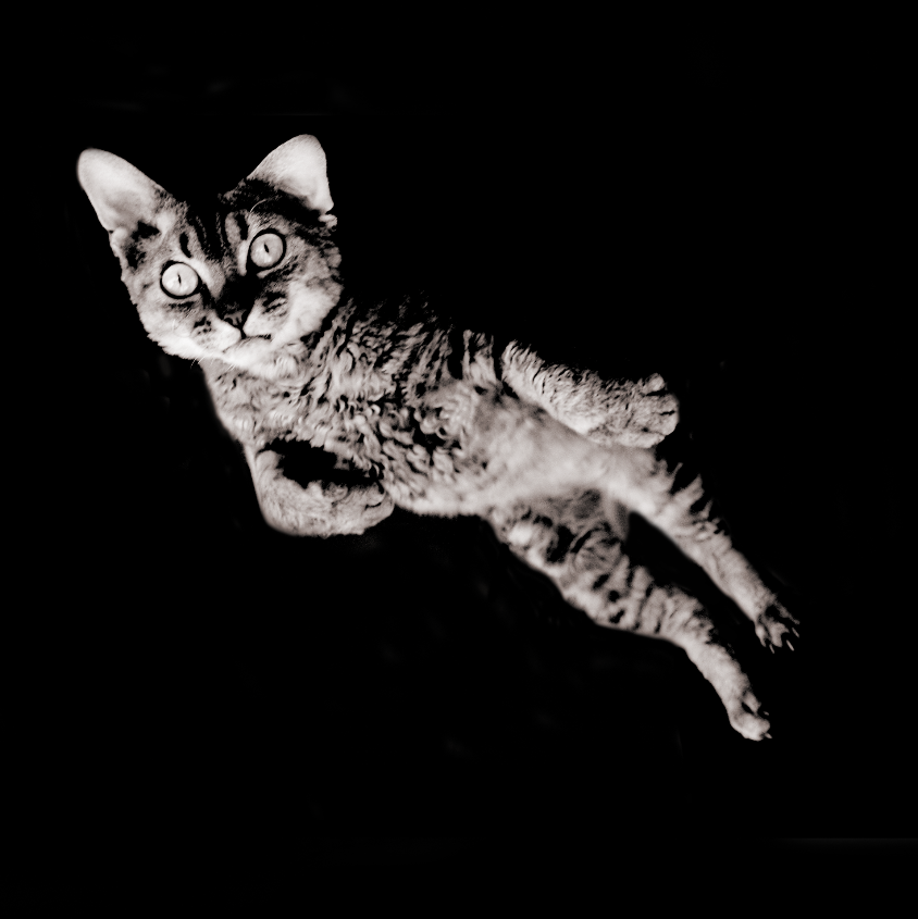 Skärmavbild 2026-01-31 kl. 02.14.04.png