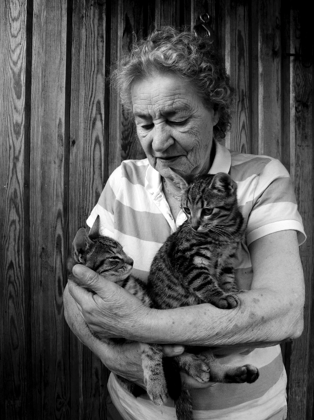 Skärmavbild 2026-01-31 kl. 01.02.13.png