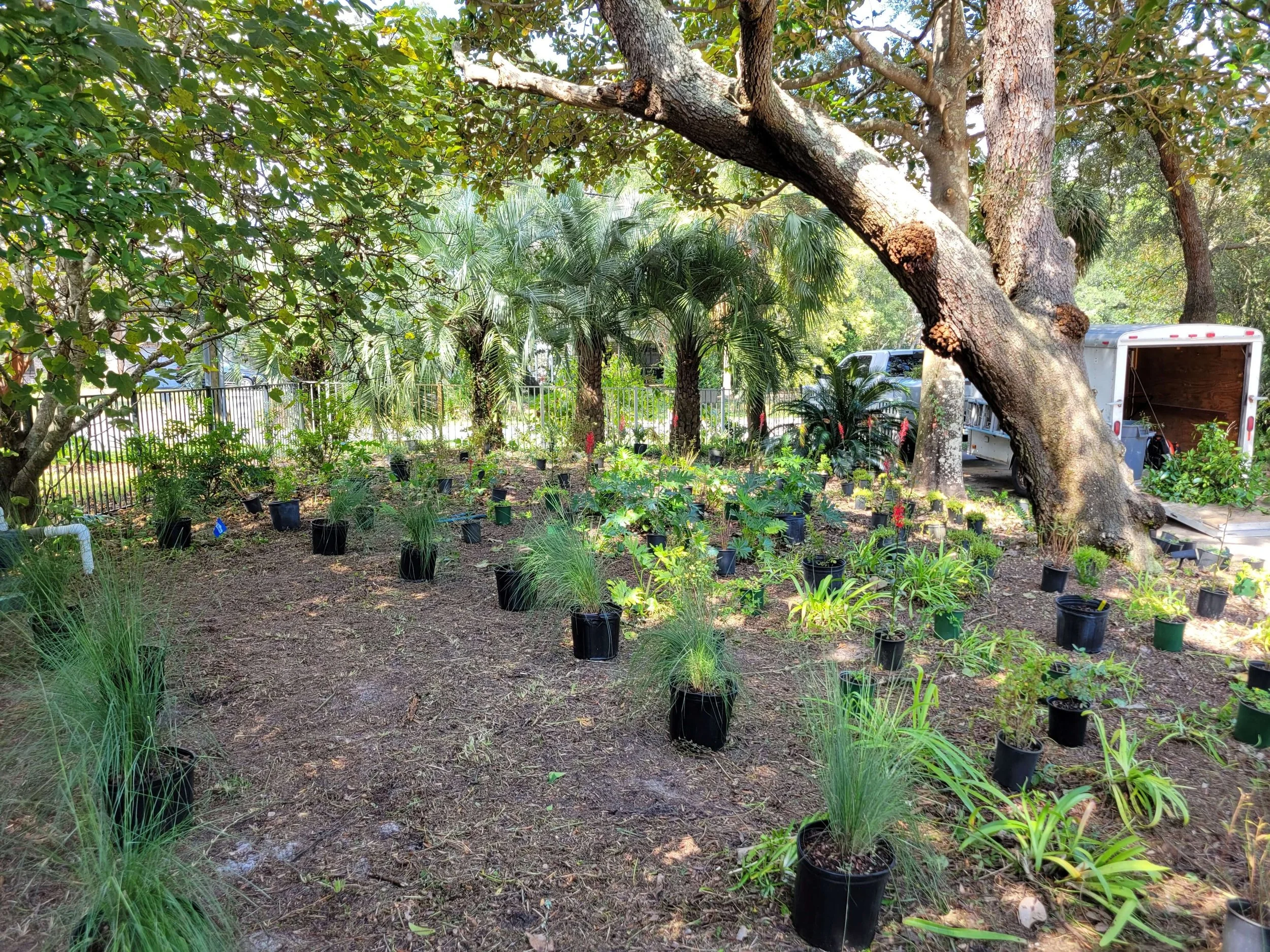 Backyard garden with potted plants and trees, a white truck parked nearby, and a fence in the background.