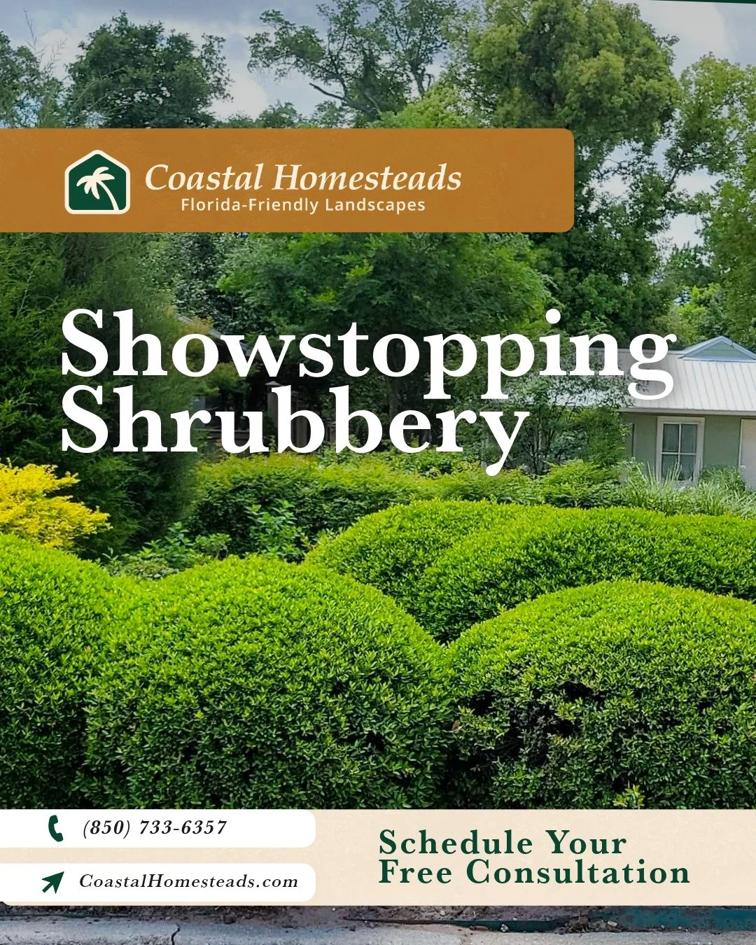 From shrubs to showstoppers. Strategic shrubbery upgrades can completely transform the look and feel of your yard while improving structure, privacy, and long-term sustainability. Coastal Homesteads, your full-service, Florida-friendly landscaping pr