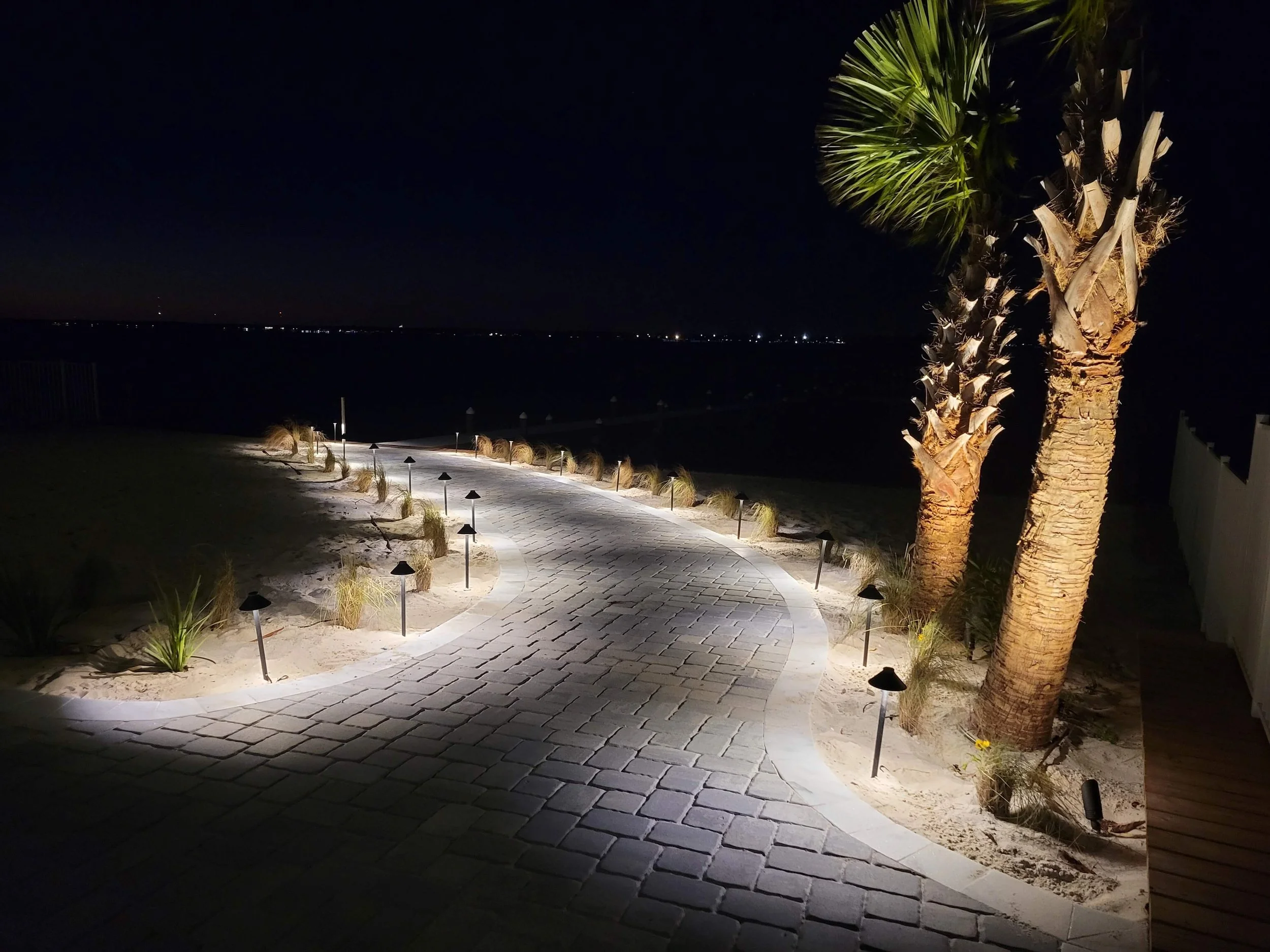 Night view of a winding paved pathway lined with small landscape lights and desert plants, with tall palm trees on the right, leading towards a dark ocean in the background.