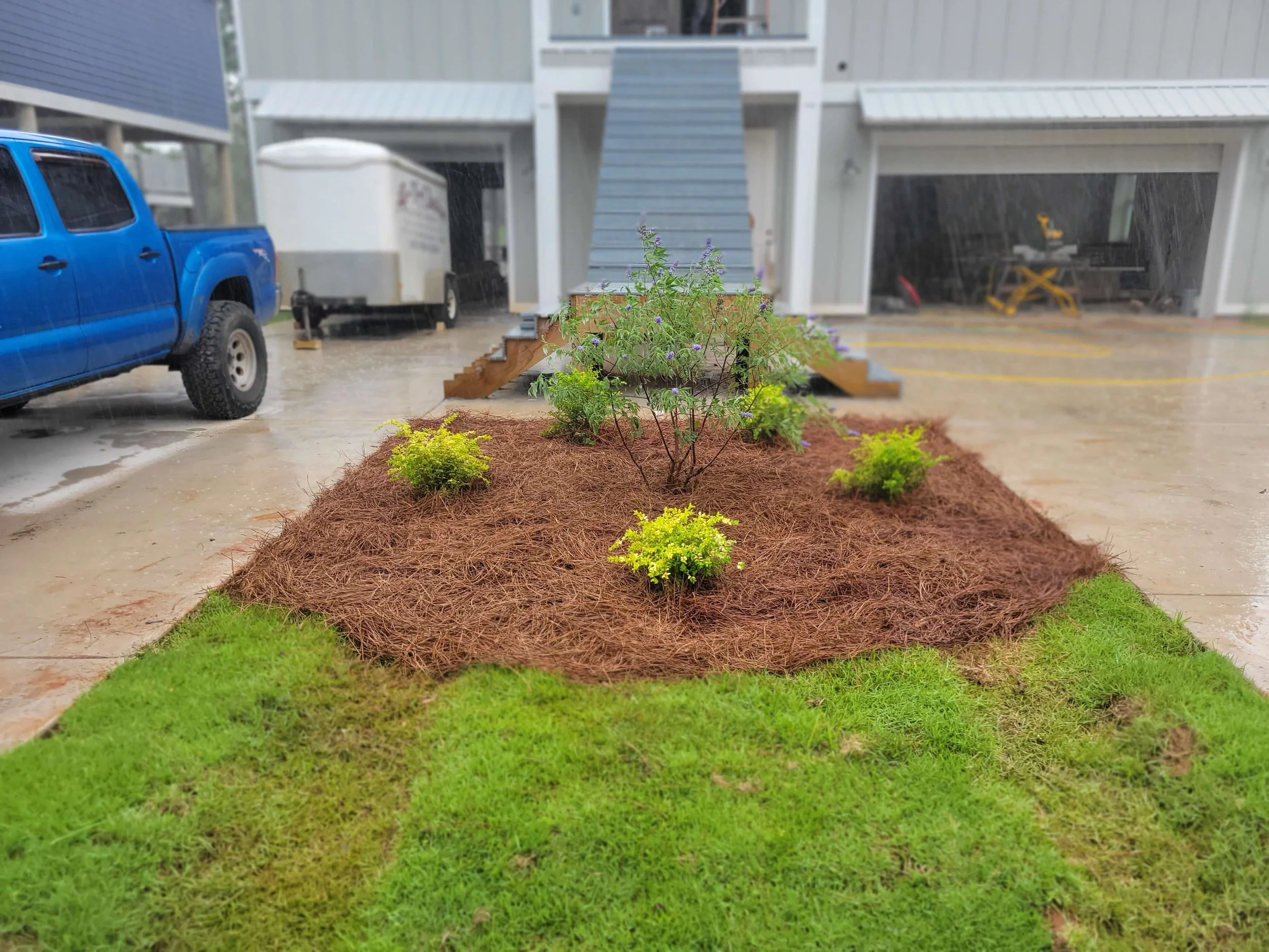 Rainy day at a residential parking lot with a blue truck parked, a trailer, and a building with stairs. In the foreground, there is a landscaped garden bed with green grass, mulch, and flowering bushes.