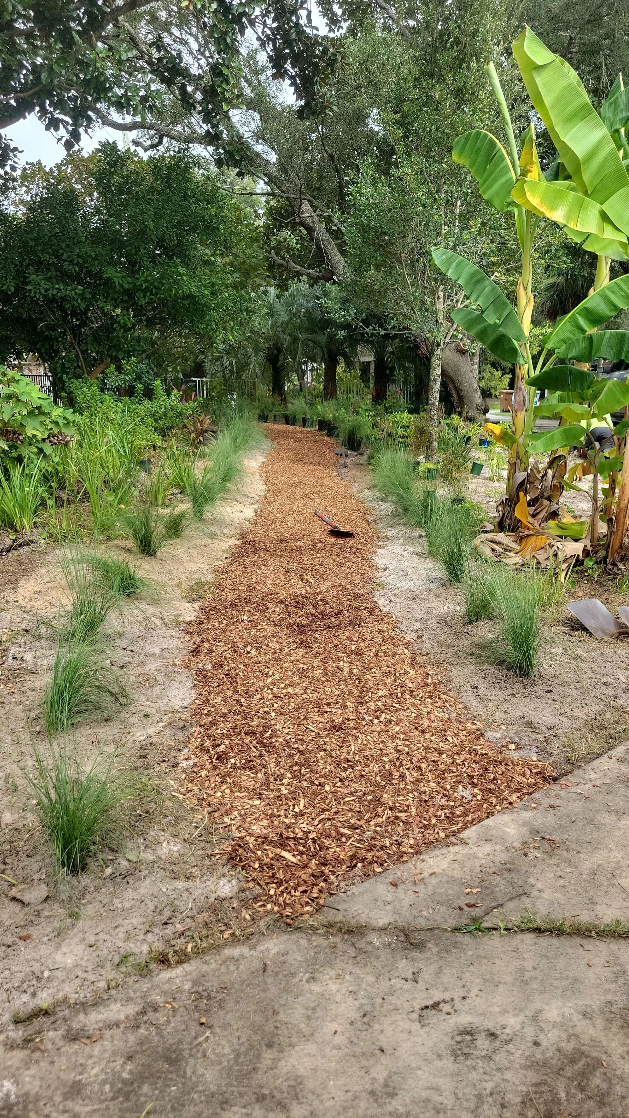 A garden pathway covered with wood chips, surrounded by lush green plants and trees.