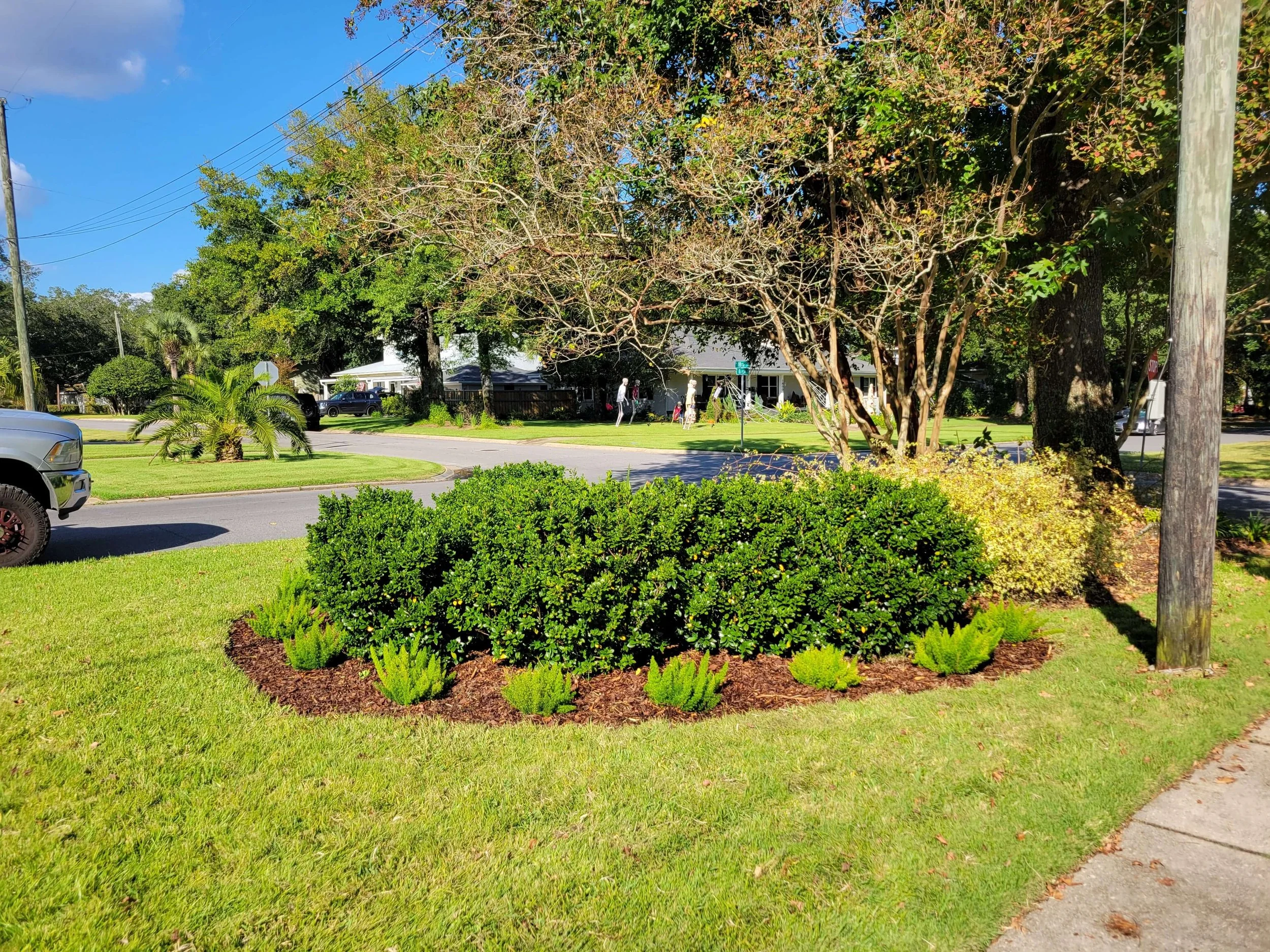A landscaped front yard with green bushes, a small palm tree, and a large tree with sparse leaves, located at the corner of a street with a sidewalk, utility pole, and a stop sign in the background. Houses and cars are visible across the street.