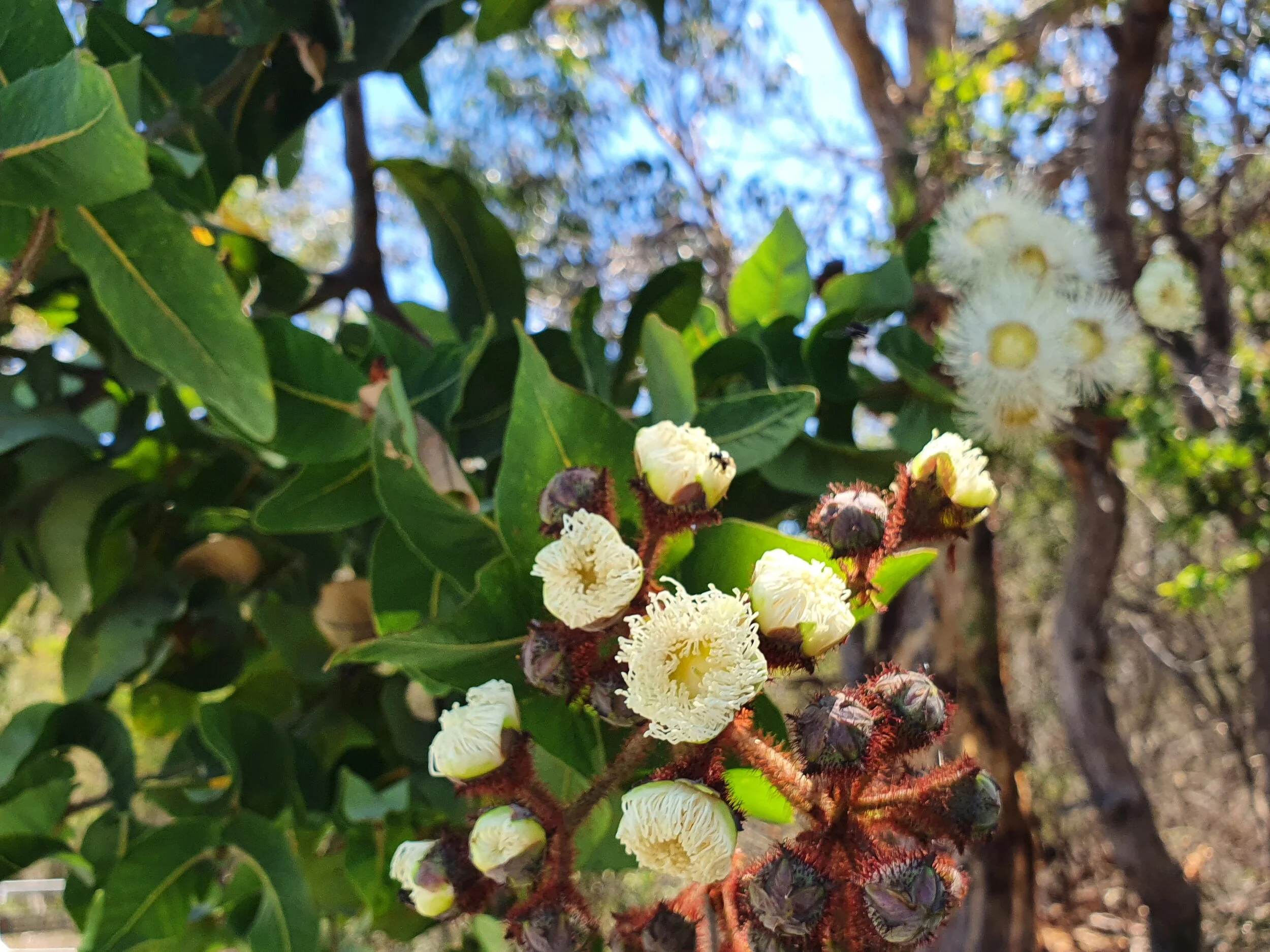 20201126_140418.jpg