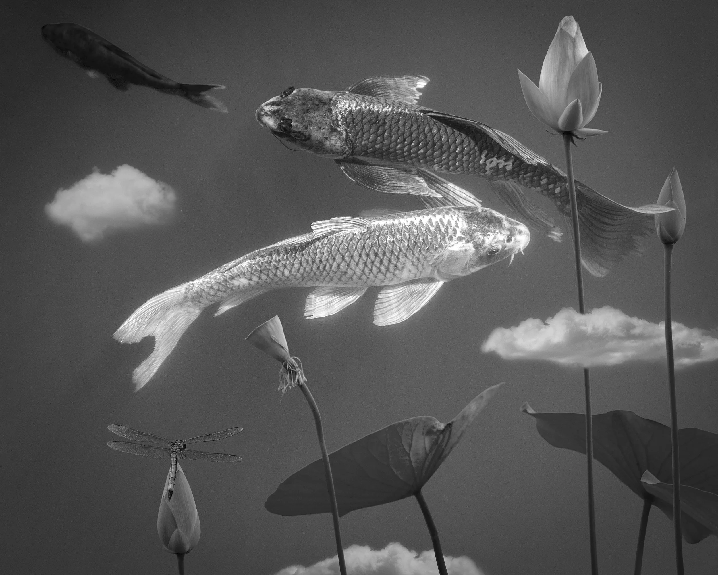 Composite Imagery