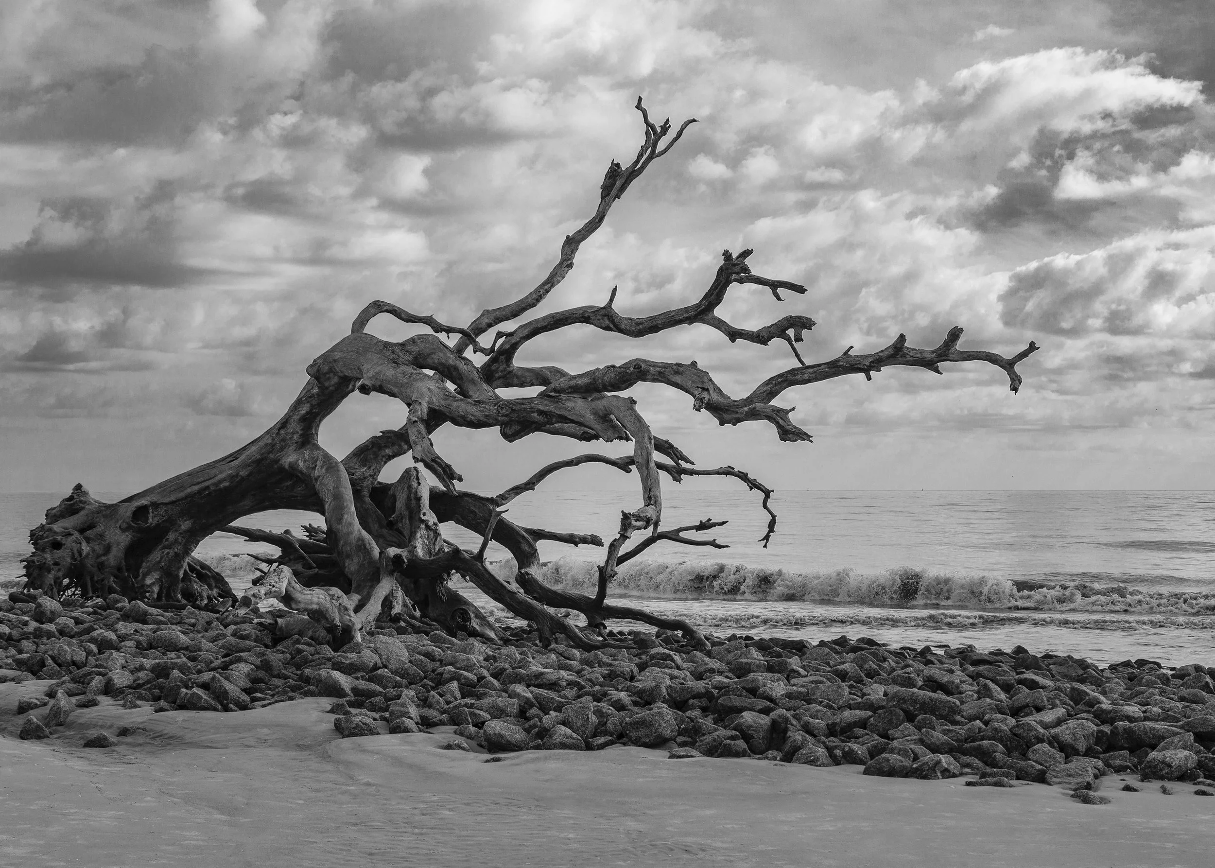 Remains Among The Rocks