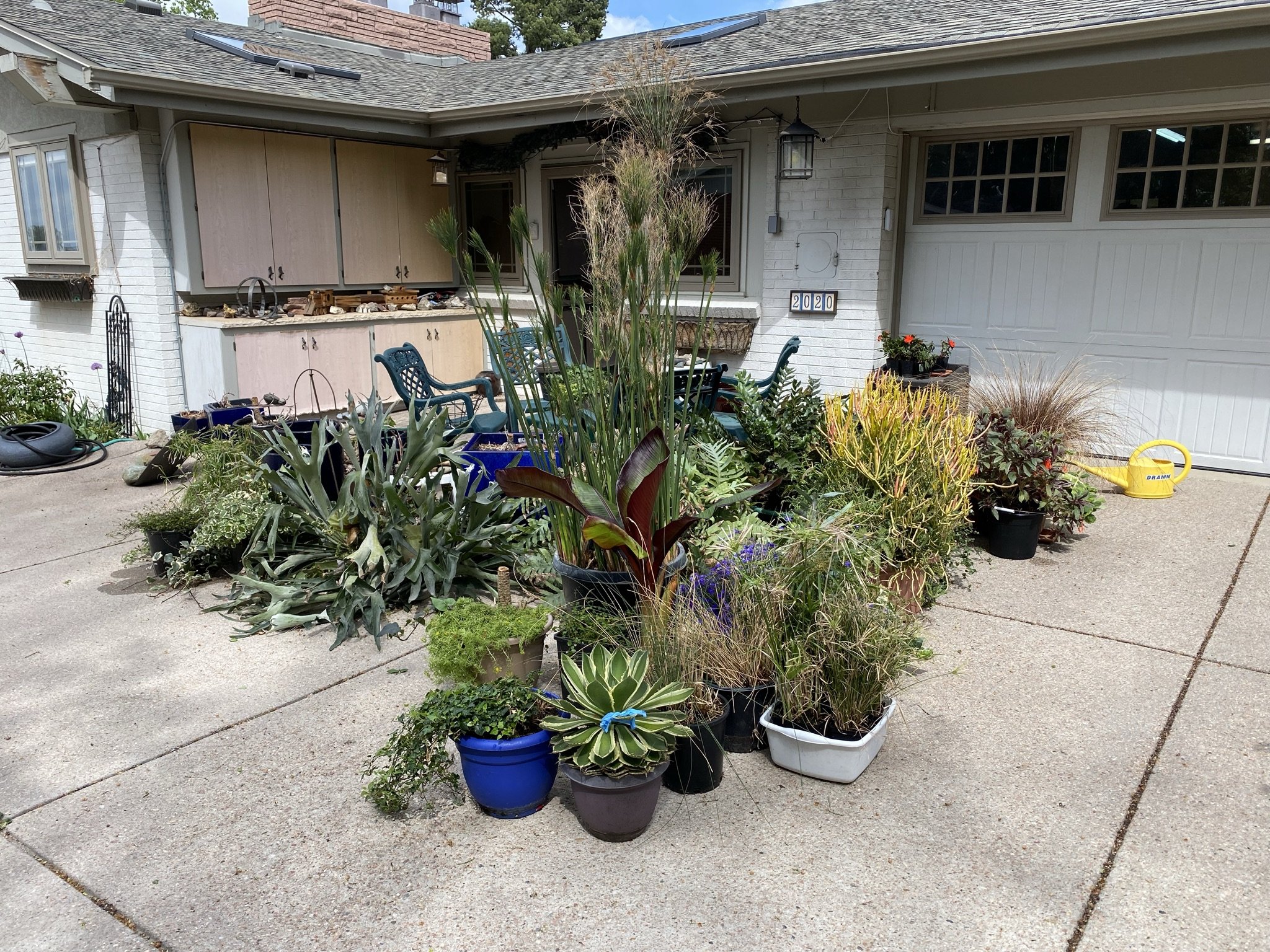 Plants vs Concrete