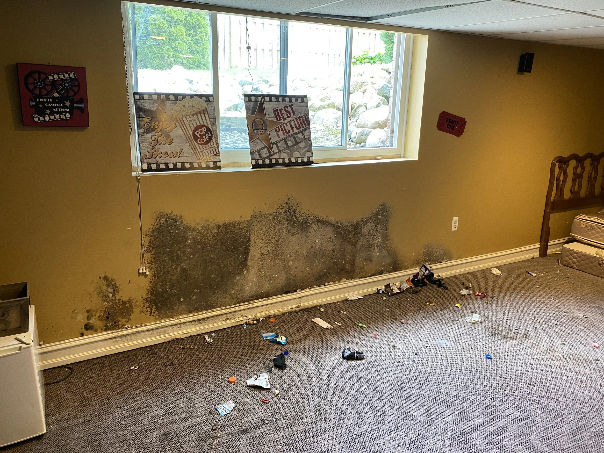 Flooding in westland michigan caused this basement to flood causing tons of mold damage behind the walls and on the insulation