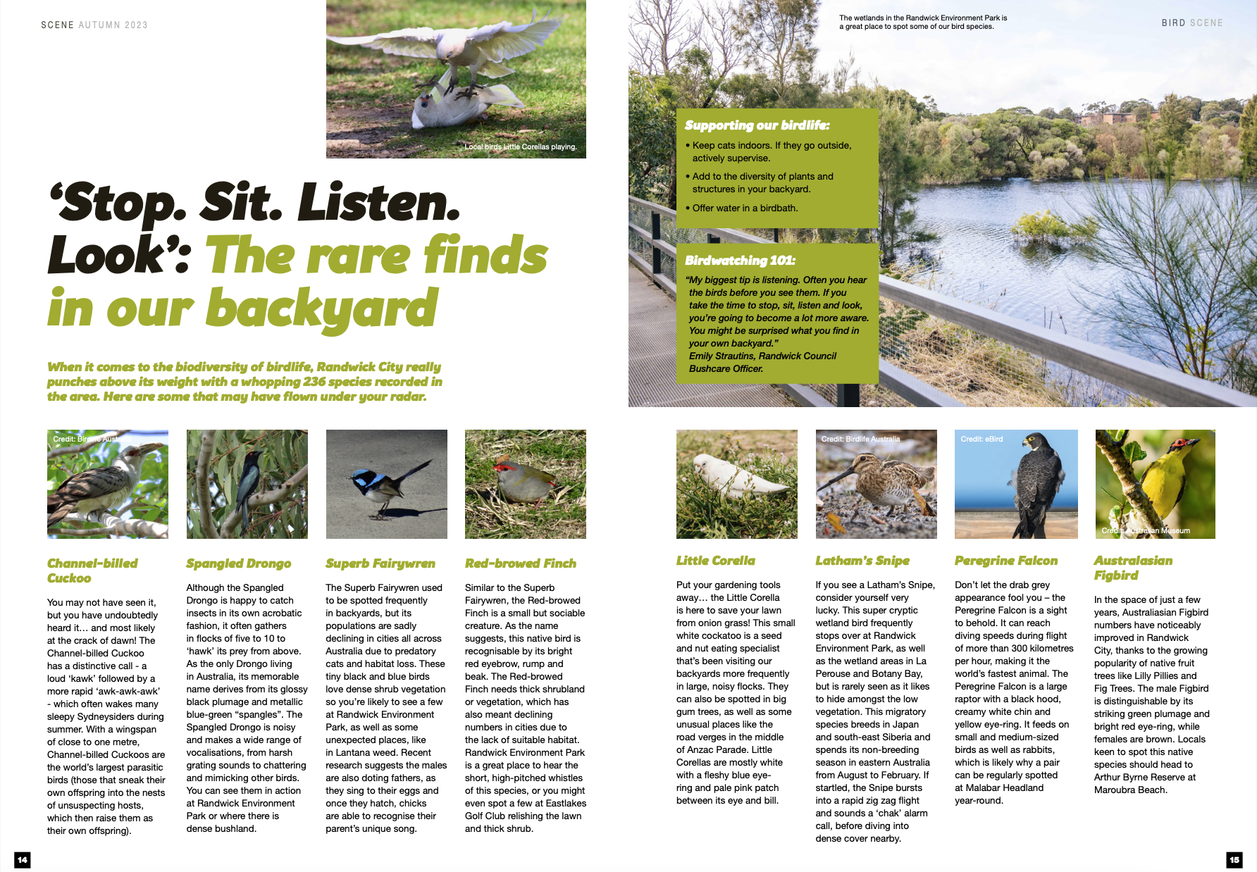 Scene Magazine Autumn 2023_Bird Feature.png