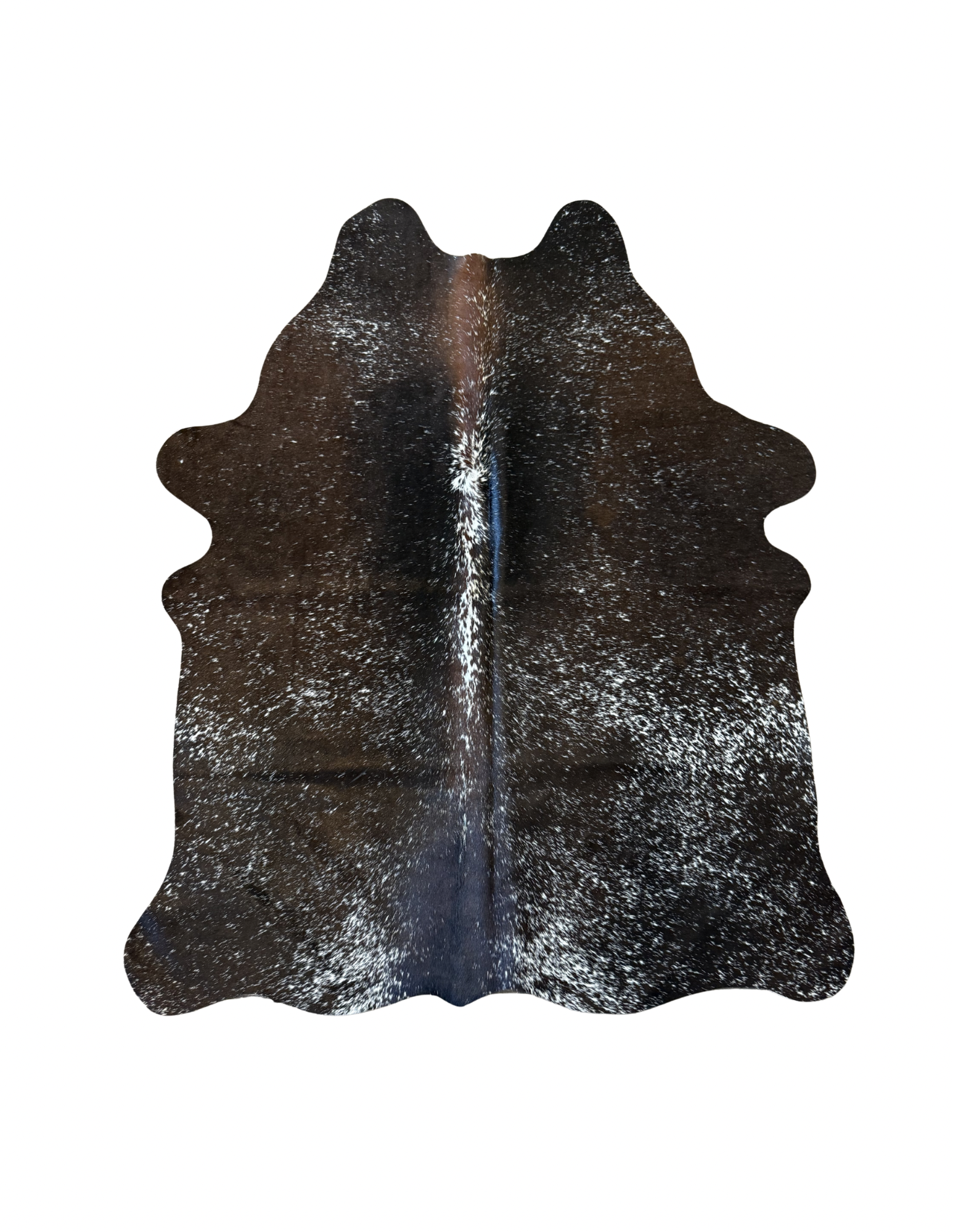 Untitled design - 3.PNG