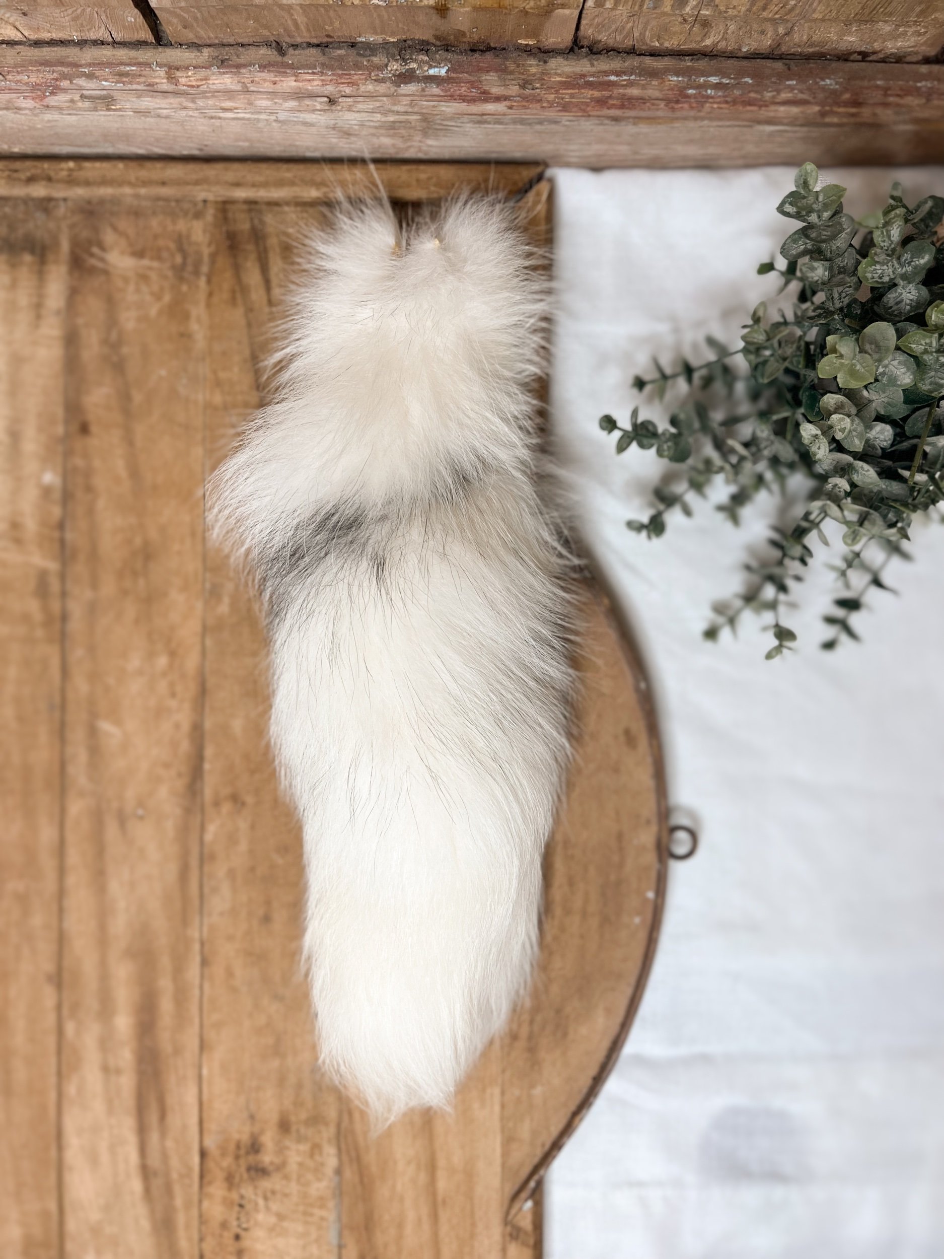 Large Fox Tail