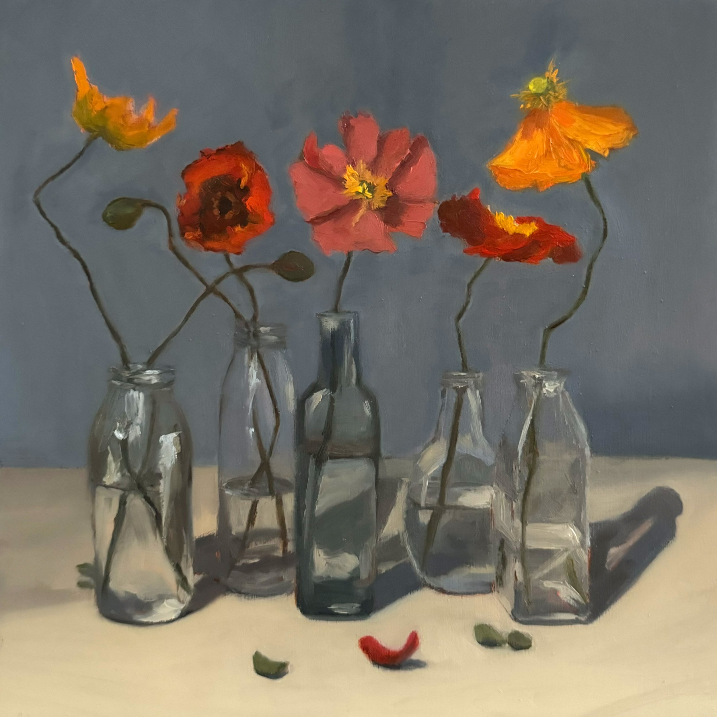 A Collection of Poppies 30cm x 30cm .jpg