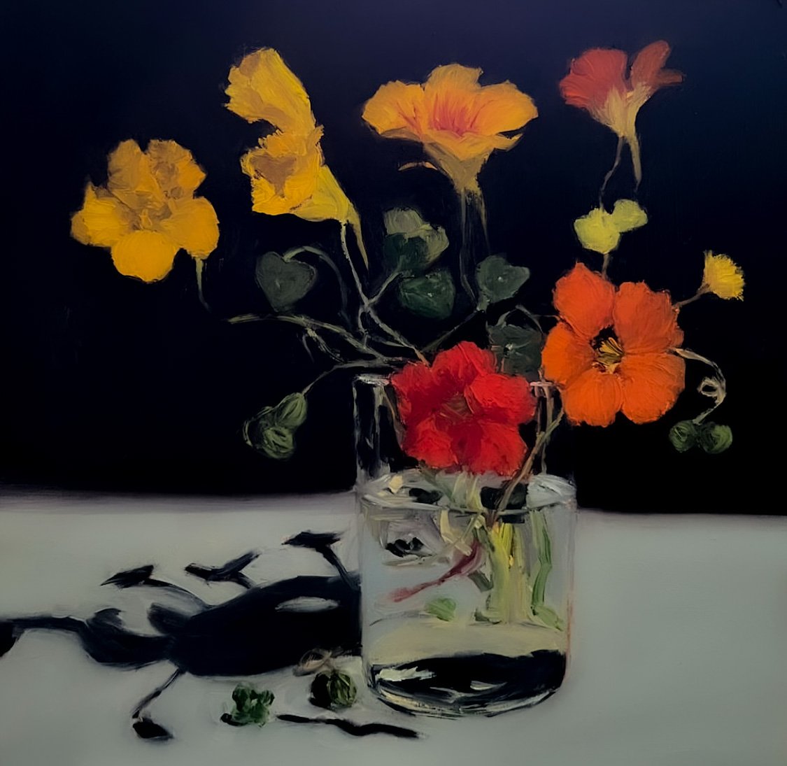 Delicate Nasturtiums