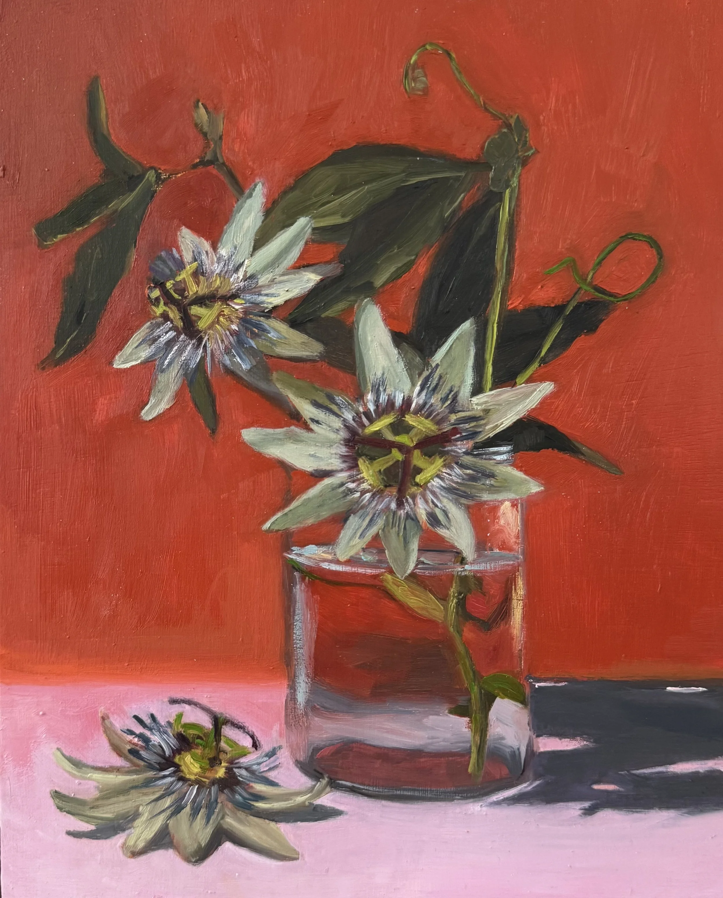 Flowering Passionflowers.jpg