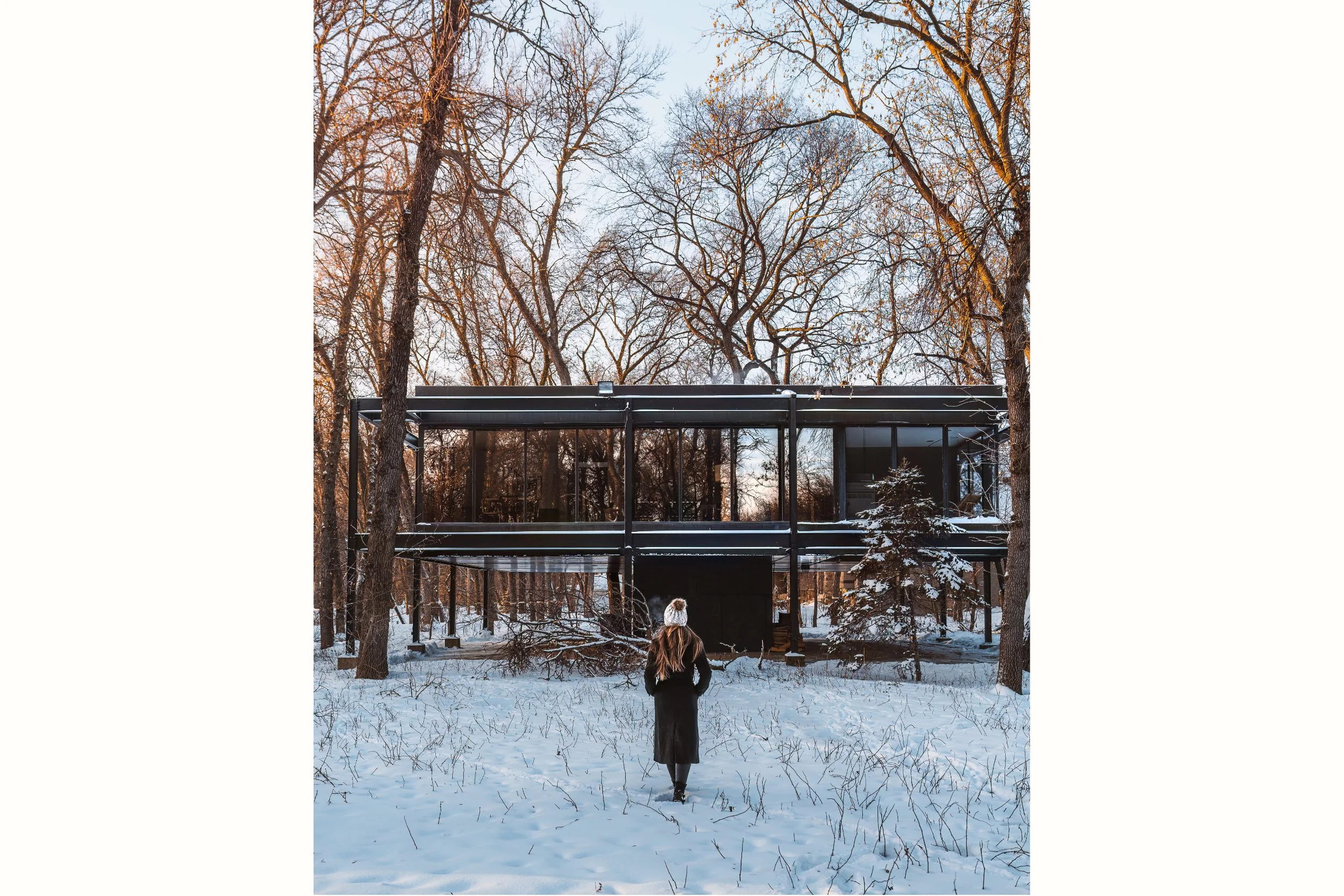 Glass Tree House Winnipeg, MB — Best Airbnb Canada