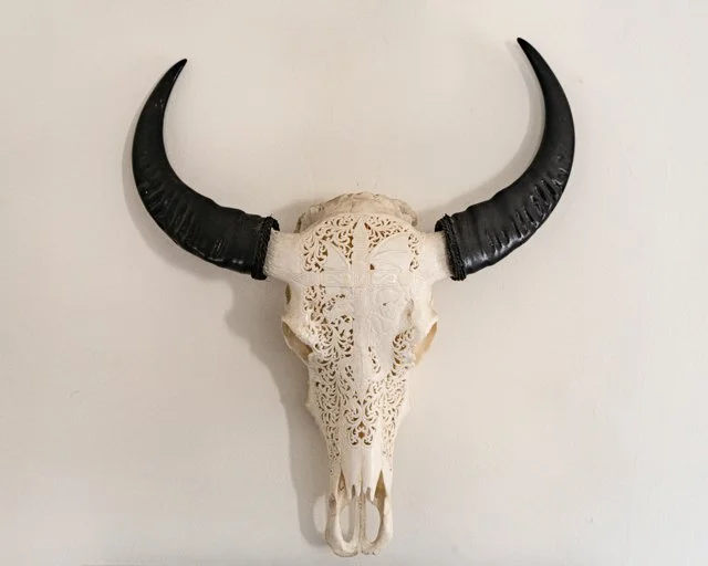 Decorative animal skull with carved patterns and black horns mounted on a plain white wall.