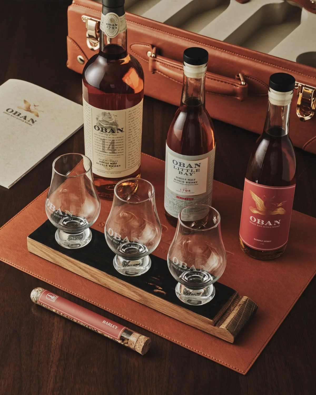 OBAN Ambassador0137.jpg