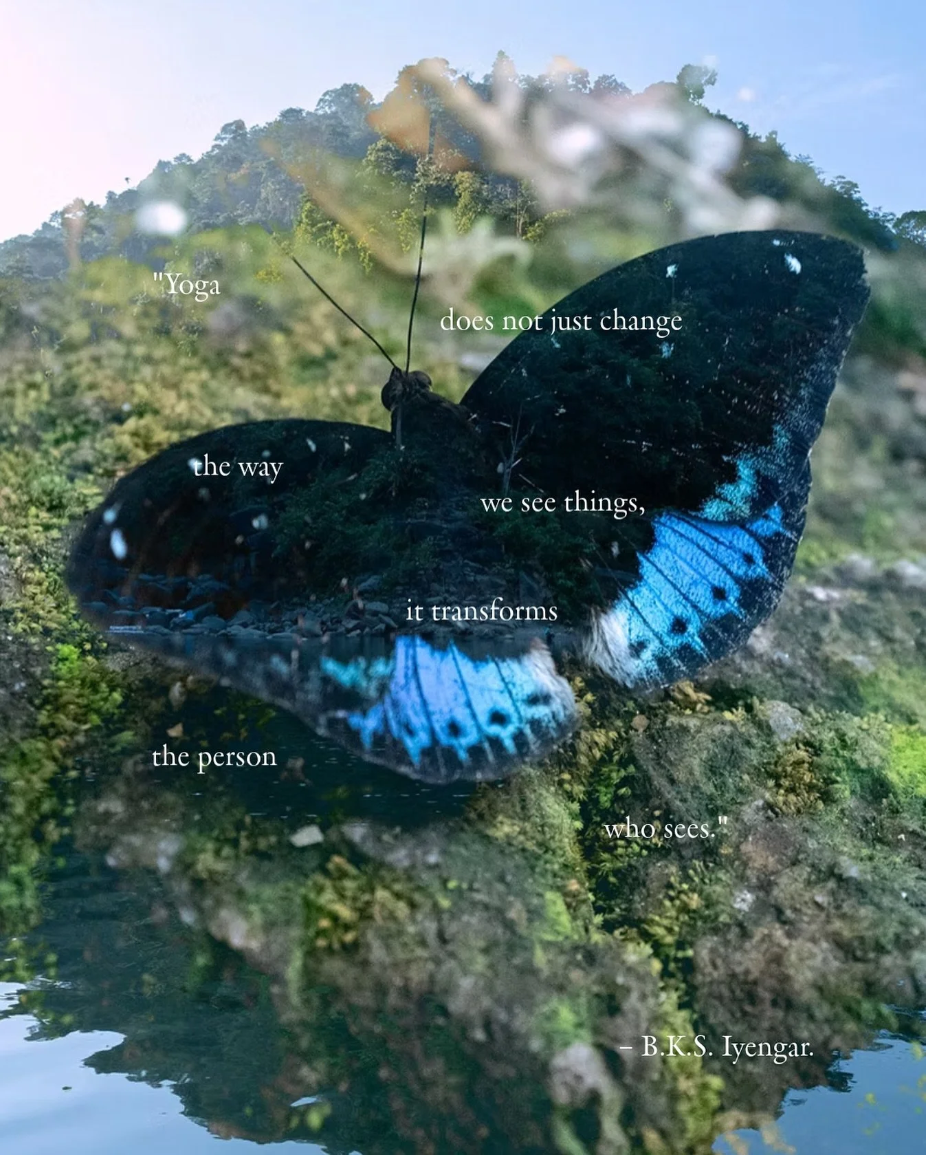 We’re bringing back the quotes — because words matter. Poetry matters. Art matters. Inspiration matters. In a world that moves fast, we still believe in slowing down enough to feel something real.
Yoga doesn’t just shift your body