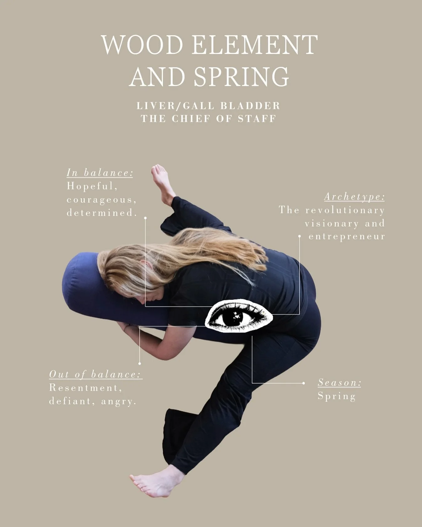 THE WOOD ELEMENT | SPRING SEASON
In Traditional Chinese Medicine, Wood relates to growth, direction and purpose. Just like a tree pushes through the soil toward the sun, Wood energy helps us move forward in life — with vision and action.
ORGA