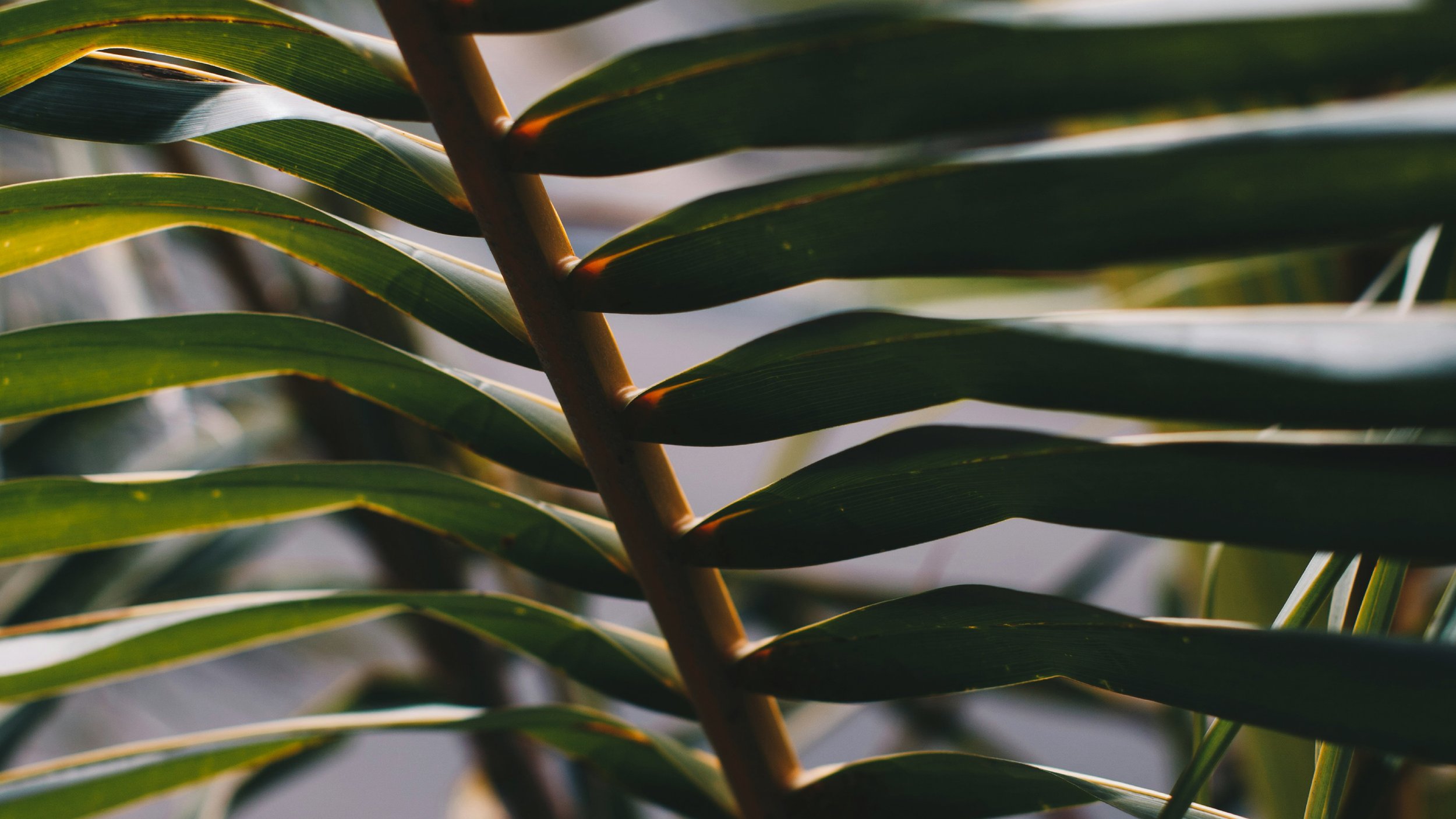 Holy Spirit Power: How Do We Move With God’s Agenda for Our Life?