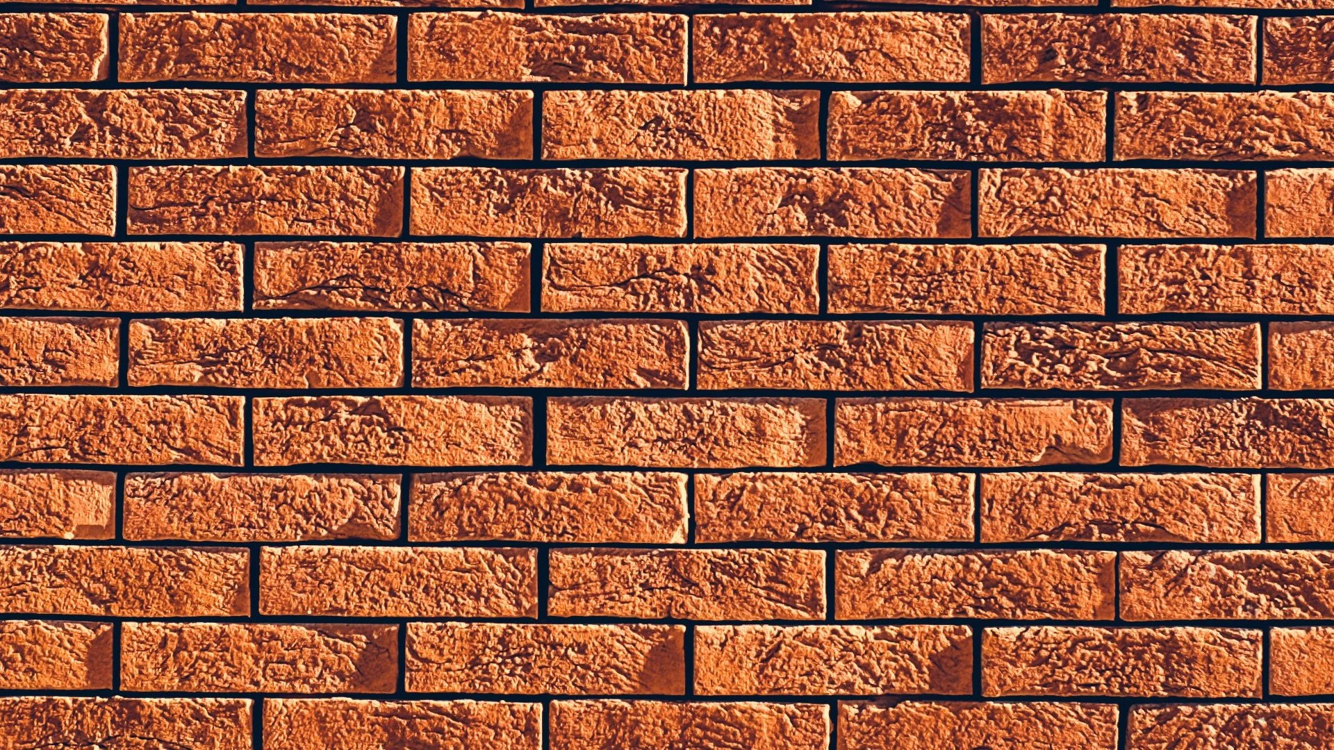 Knowledge vs. Love: What Builds Up the Church?