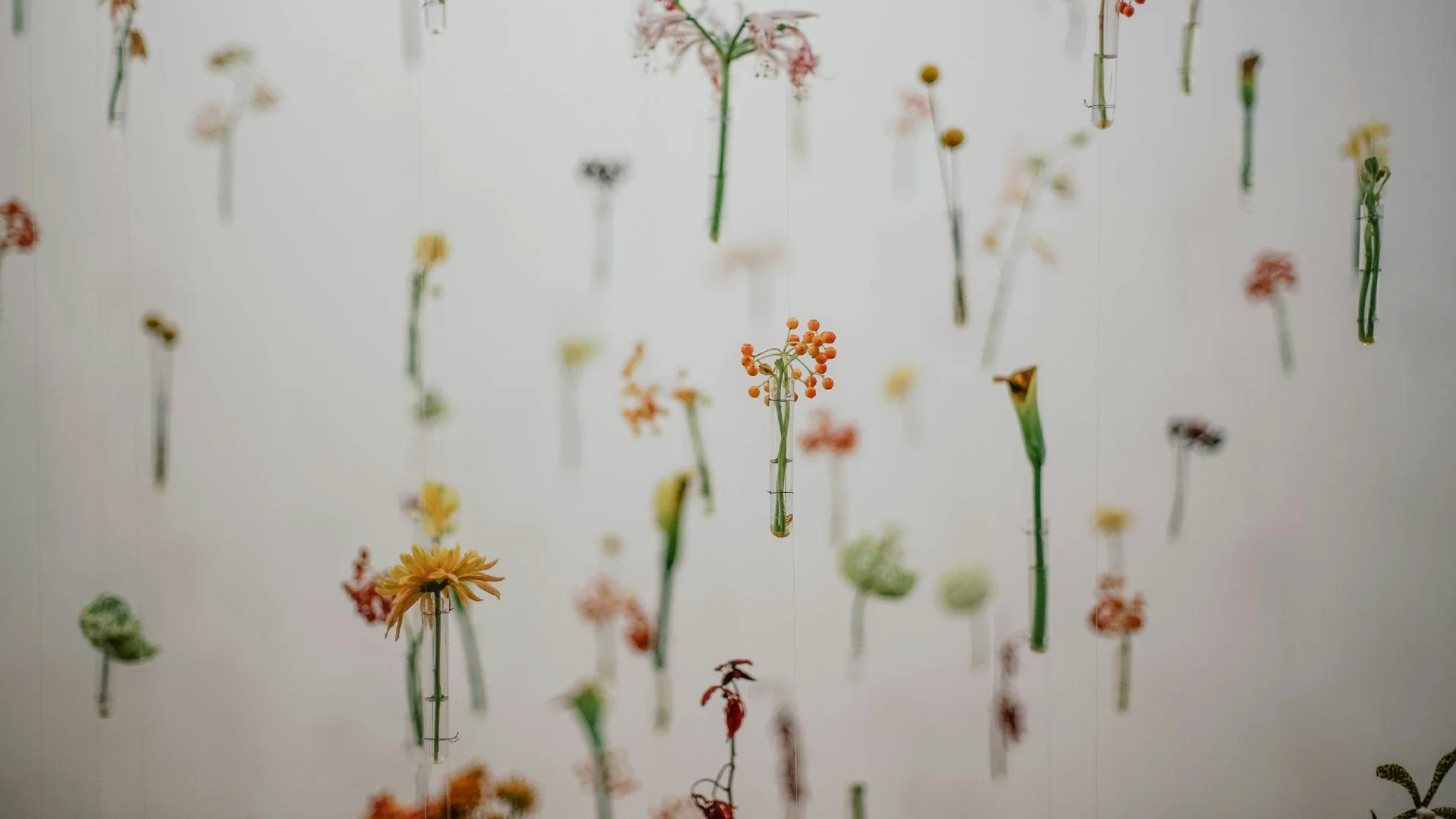 Why the New Covenant Changes Everything