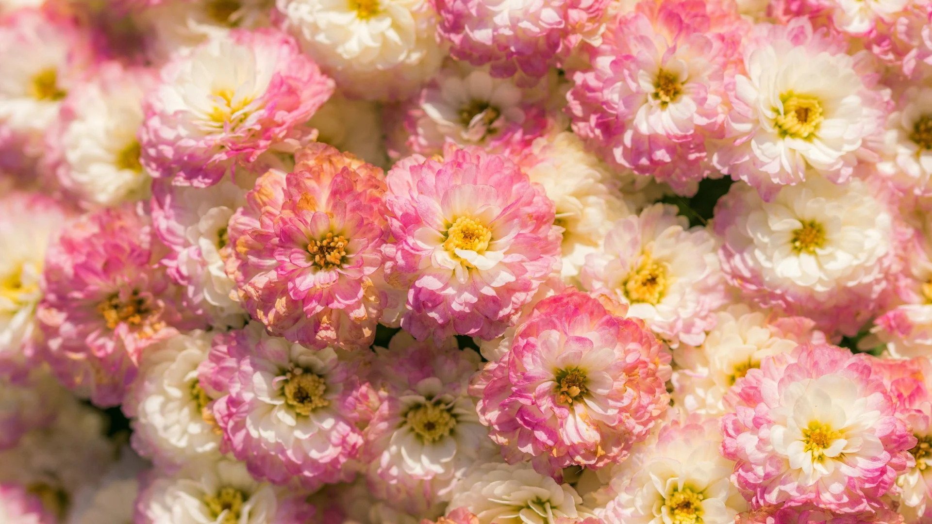 Holding Joy and Sorrow Together on Mother’s Day