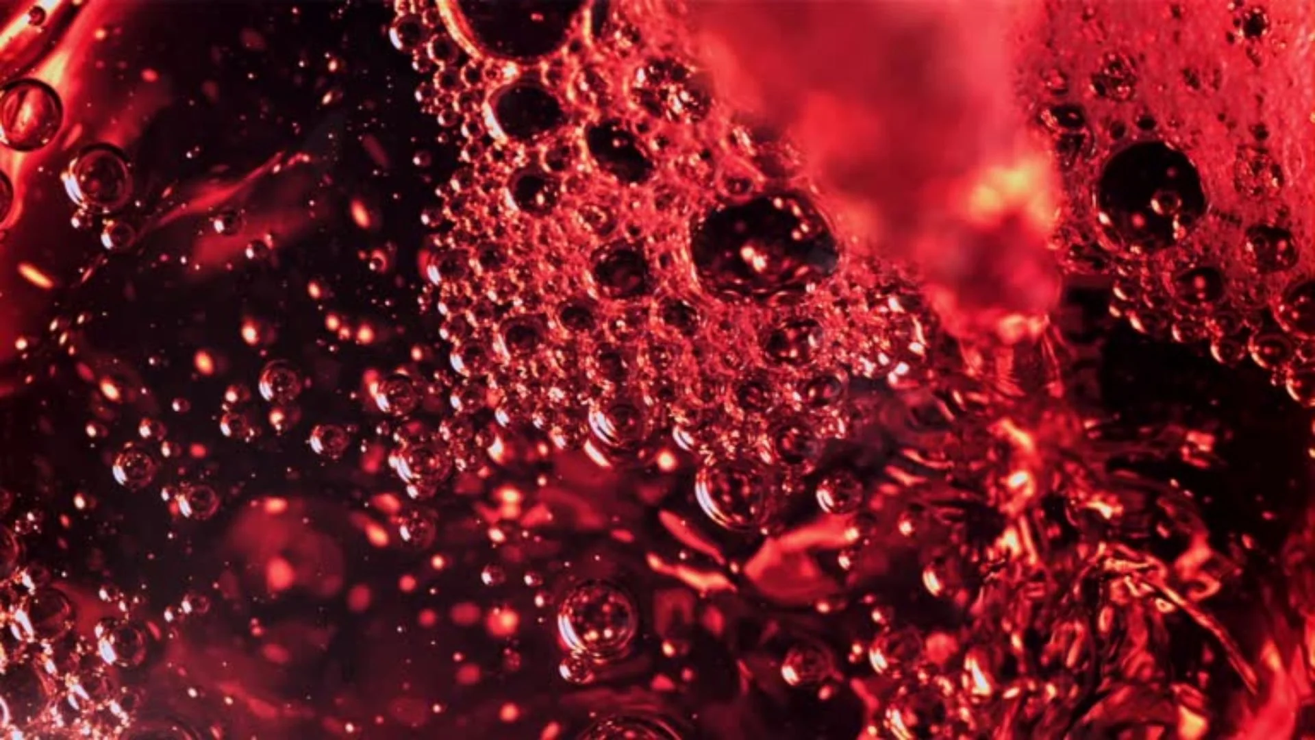 The Table of Grace: The Meal that Changes Us &amp; the Gift of Communion