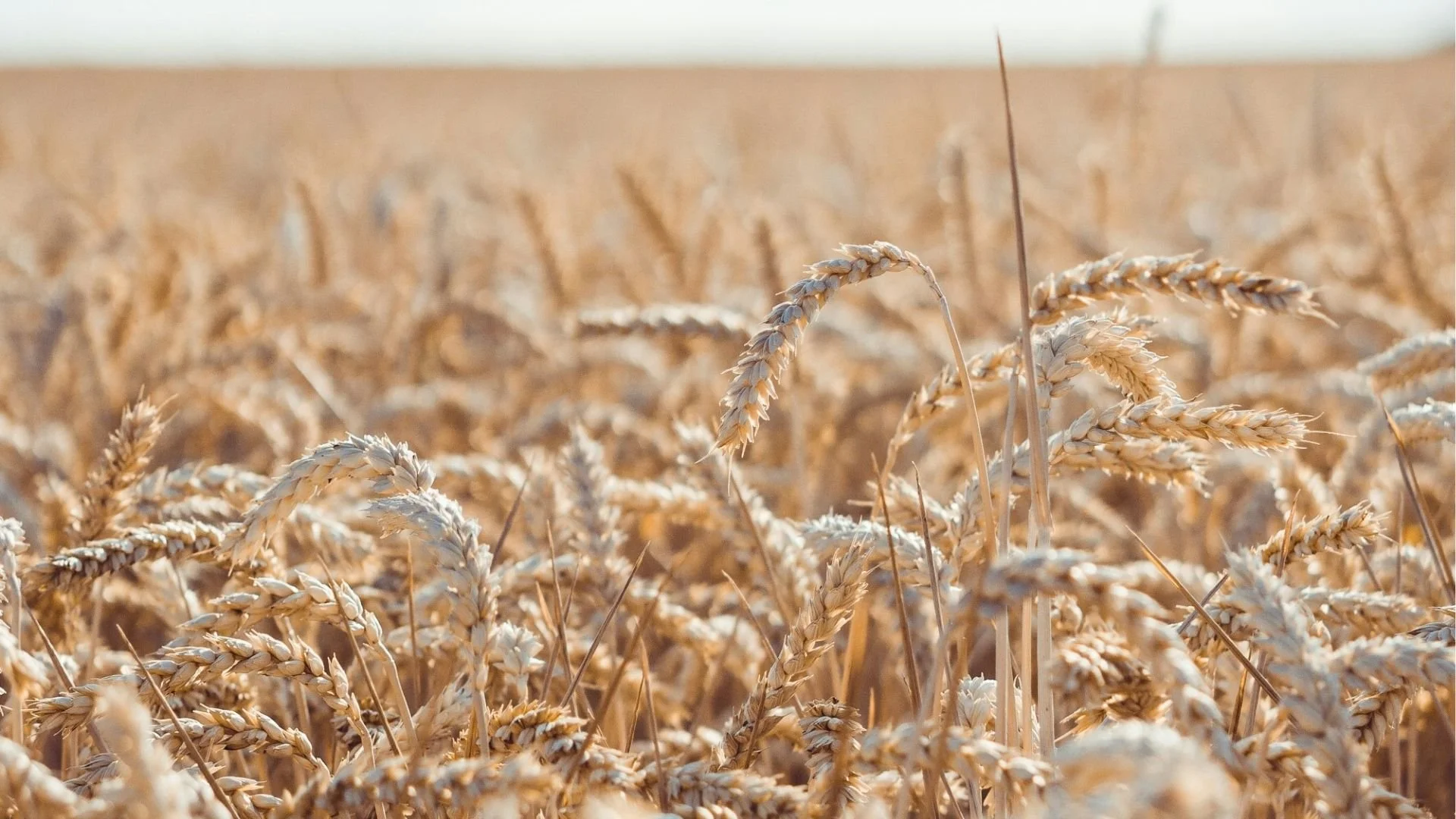 How Does Prosperity Test Our Faith?